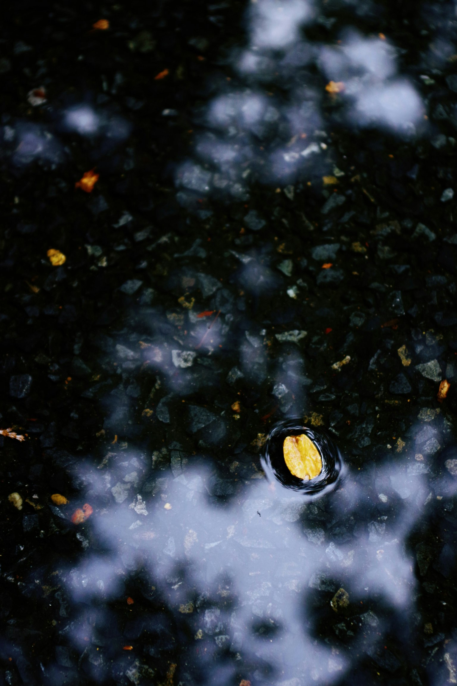 Scène tranquille avec une feuille flottant sur l'eau et des reflets