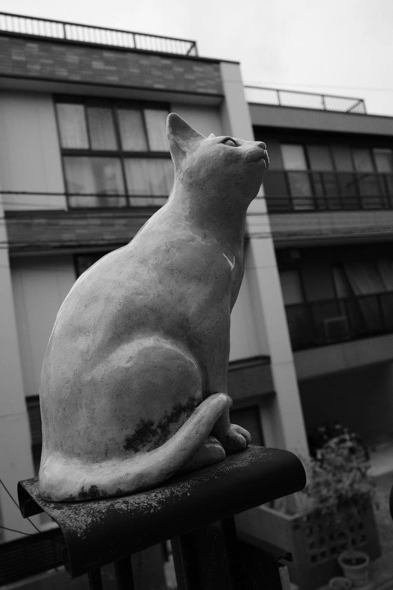 Weiße Katzenskulptur im Freien ausgestellt