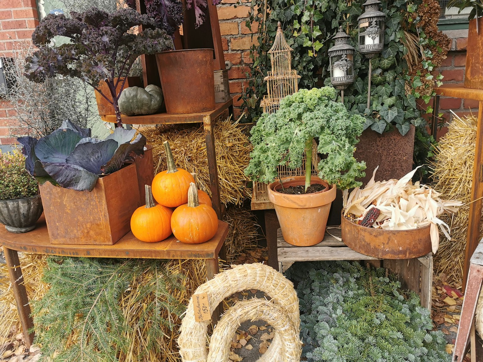 Herbstdeko mit bunten Kürbissen und grünen Pflanzen im Freien angeordnet