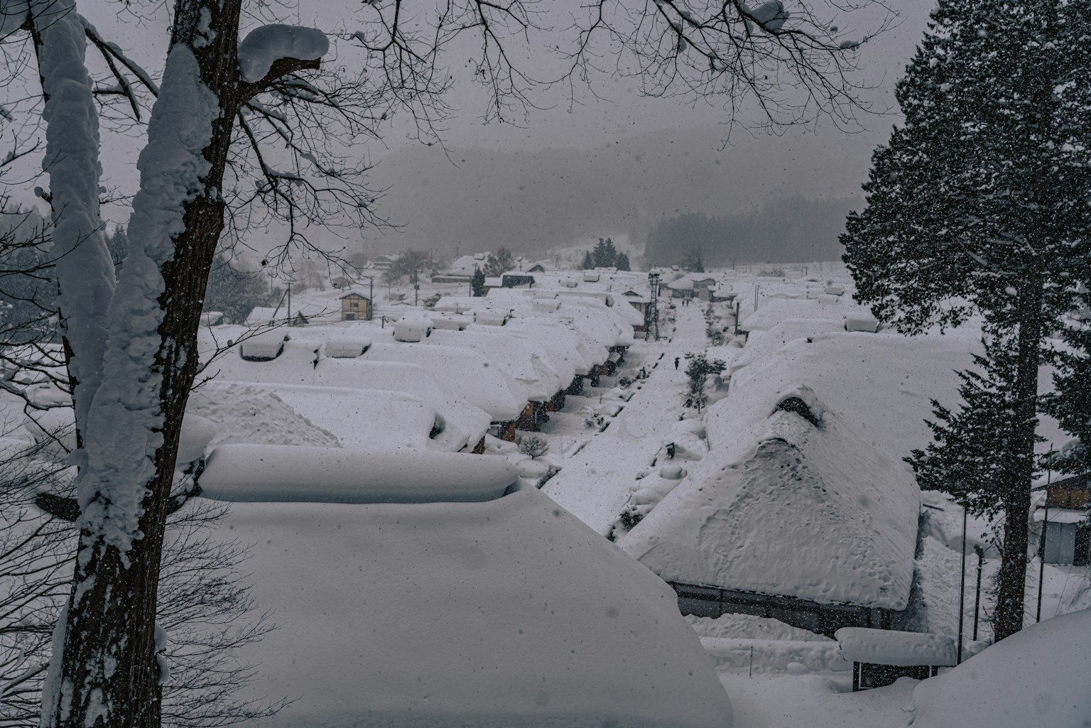 photo-m3JF3DANKneRIPb5aMrS-image