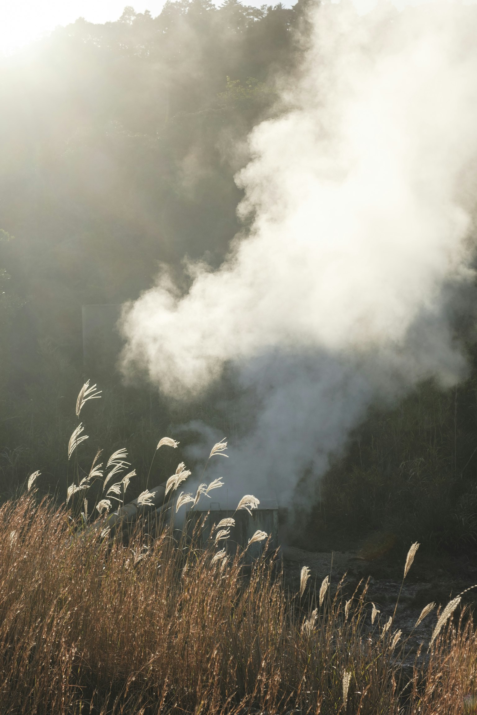 Mountain landscape with rising smoke and grass
