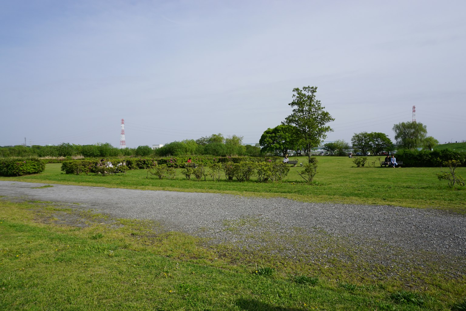 Open grassy landscape with trees and a gravel path