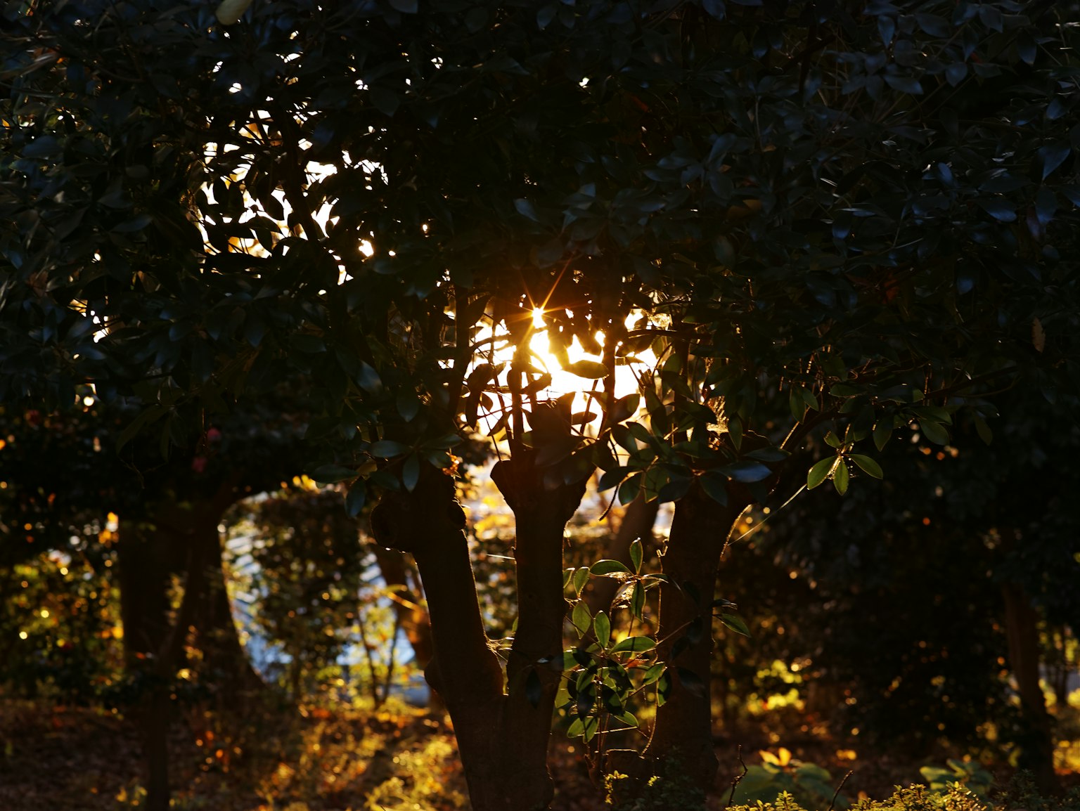 photo-m4Kf1Ypnj432uTXMx4fD-image