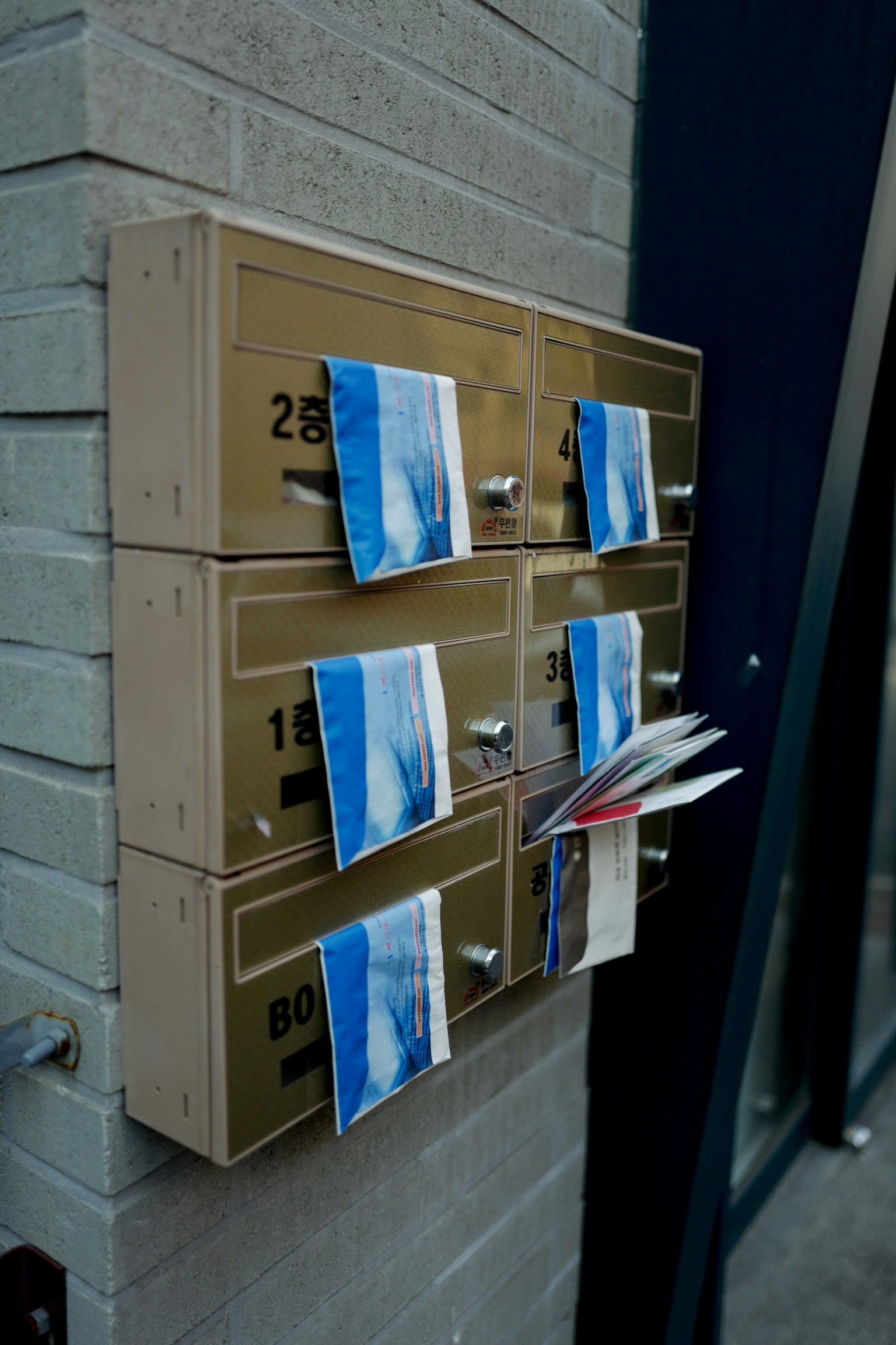 photo-m4Tb7fvmdNJ0ktp18FCx-image