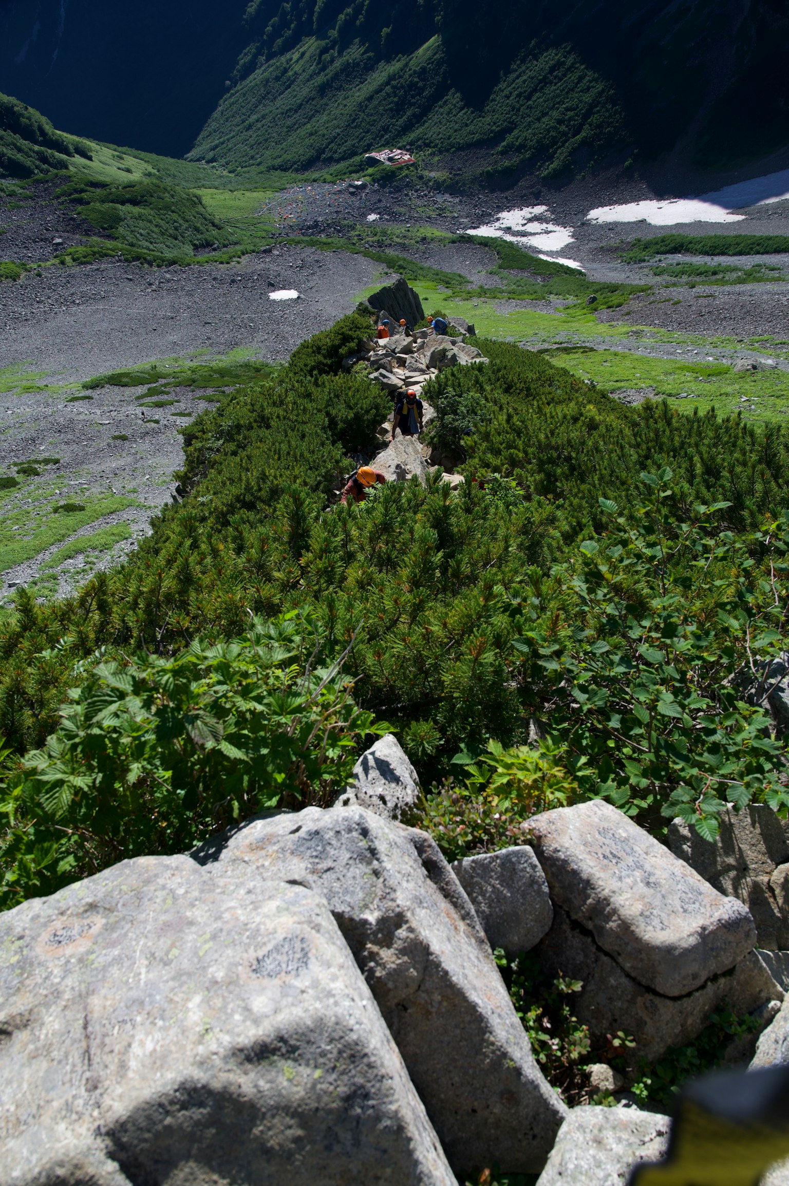 郁郁蔥蔥的山谷景觀，岩石小徑穿過綠色植物