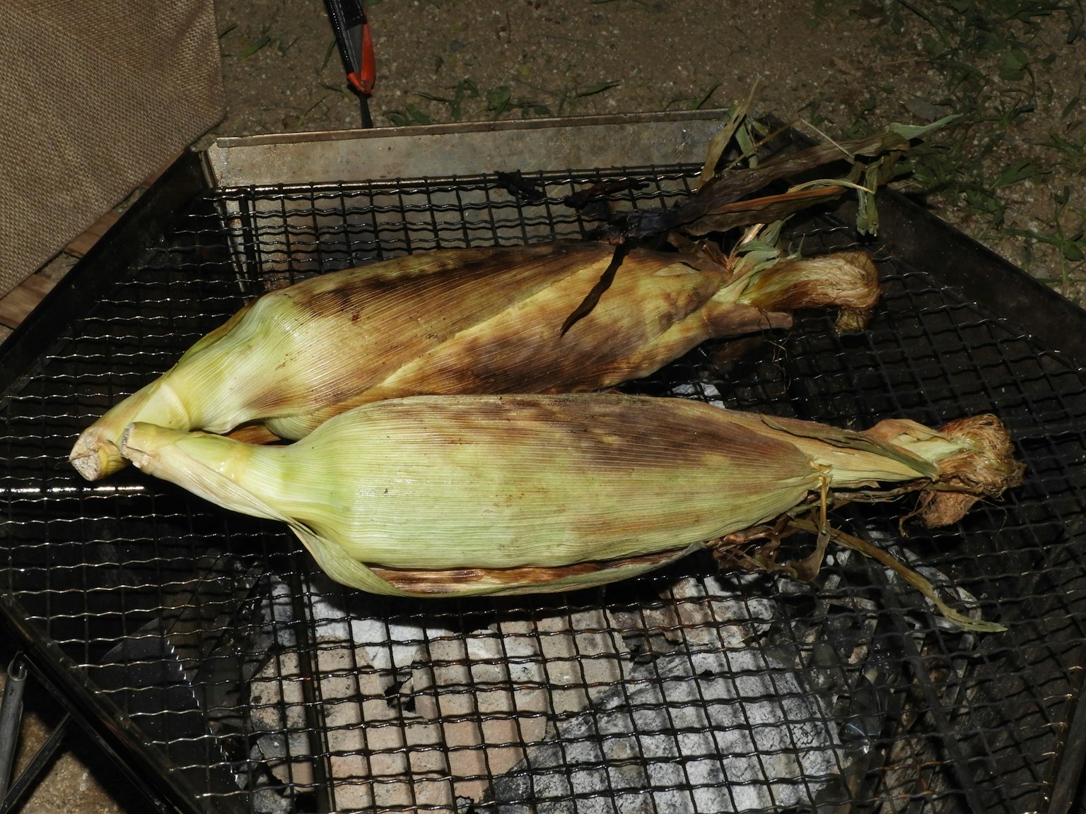 Two ears of corn being grilled over an open flame