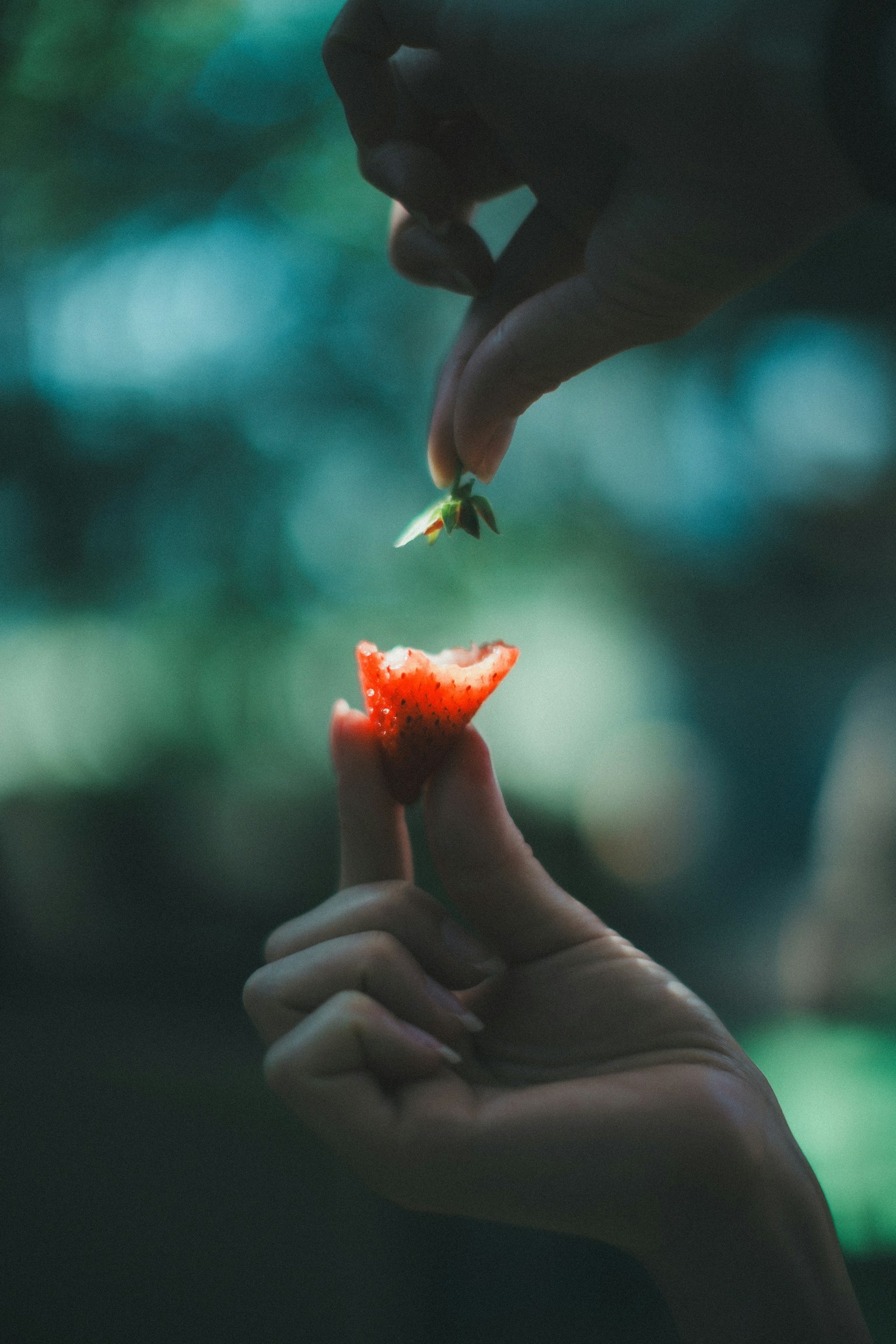 photo-m6t4Kpo3jEYytlCZtmps-image