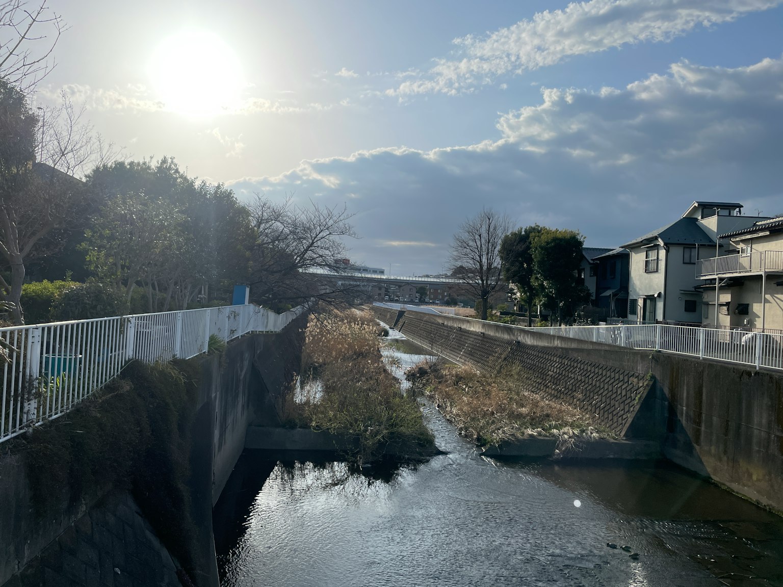 Serene river view with a blue sky and houses lining the banks