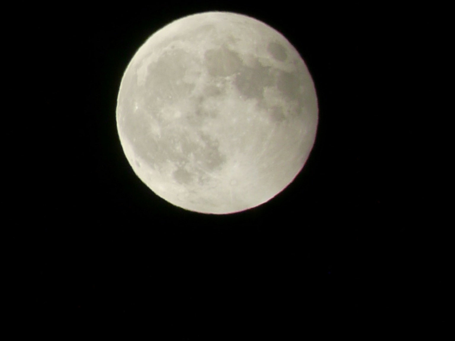 photo-m6xB9Jp0n6NyuPuvsWad-image