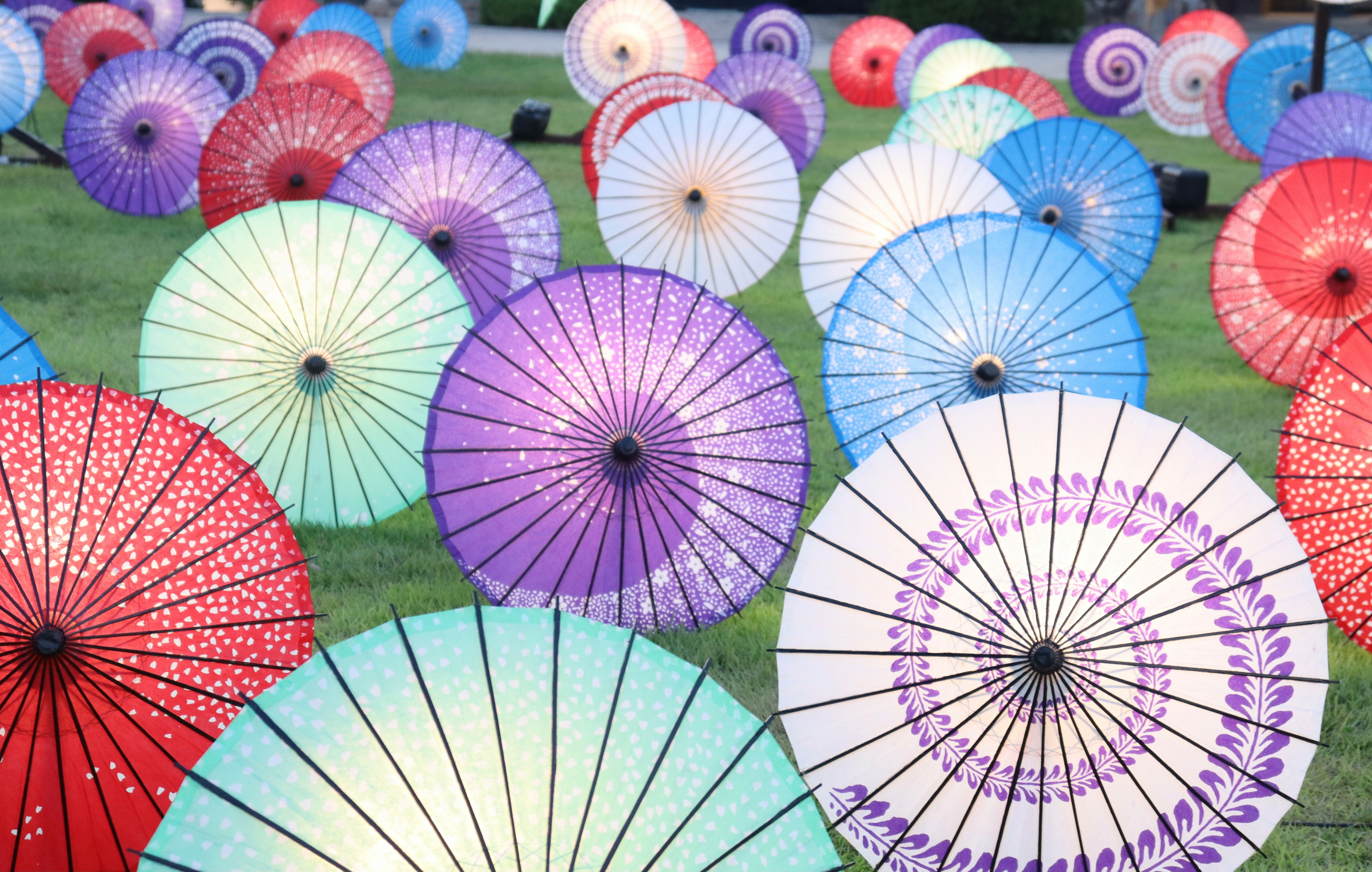Colorful Japanese umbrellas lined up outdoors