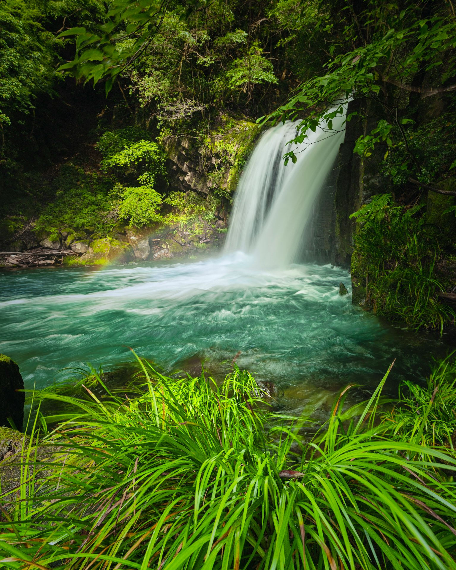 Una bellissima cascata che scorre in un paesaggio verdeggiante con acqua vibrante e vegetazione rigogliosa
