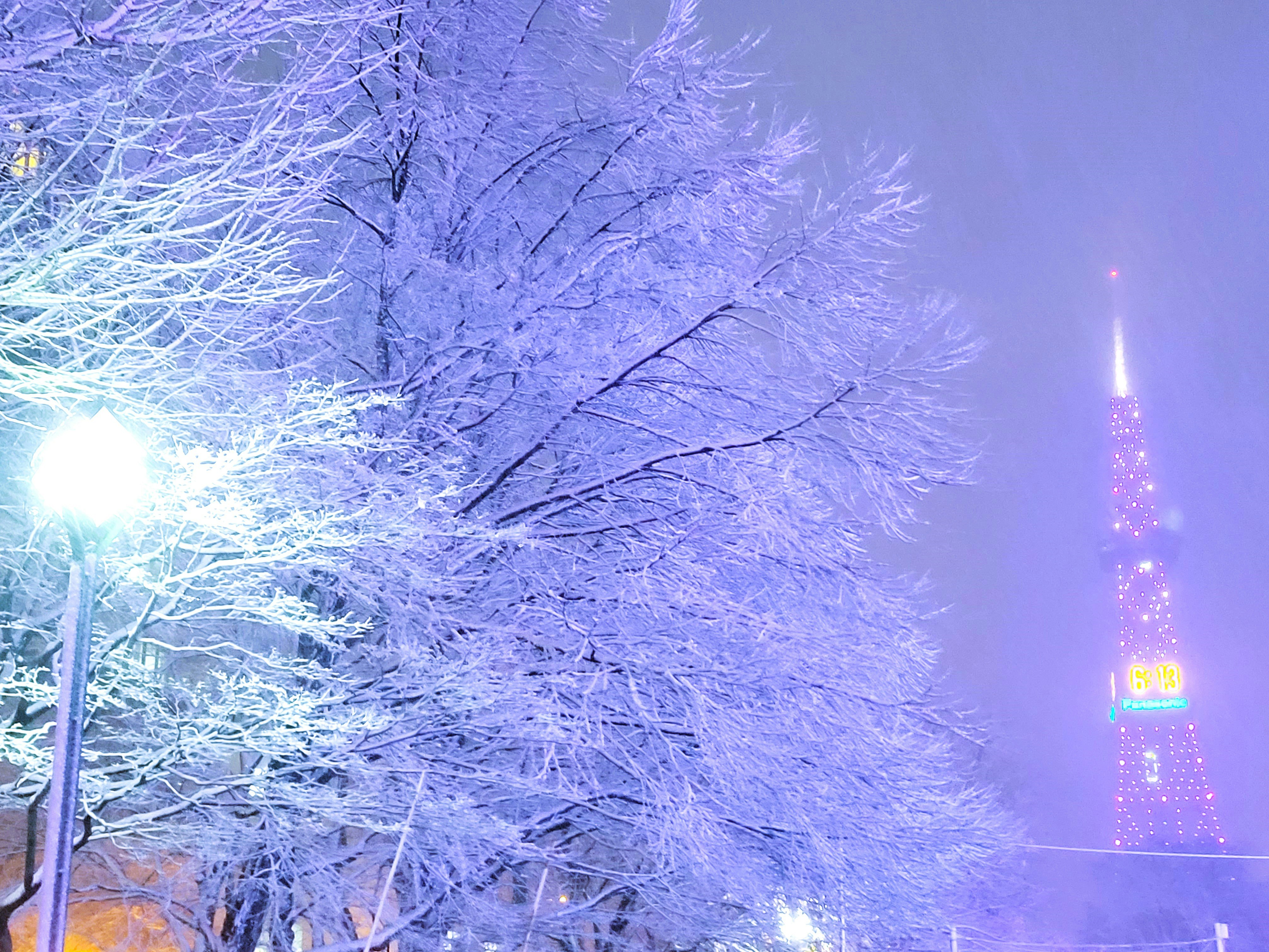 樹氷が広がる冬の夜の大通公園とさっぽろテレビ塔