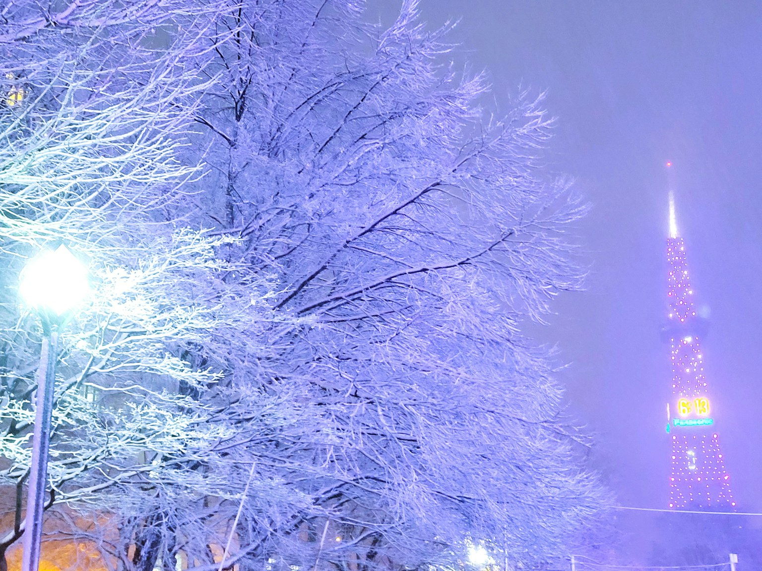 雪に覆われた木と東京タワーの夜景