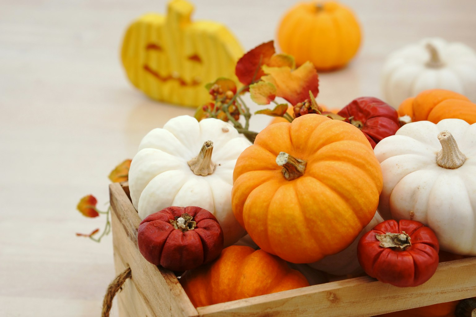 Zucche colorate in una cassa di legno con una zucca di Halloween sullo sfondo