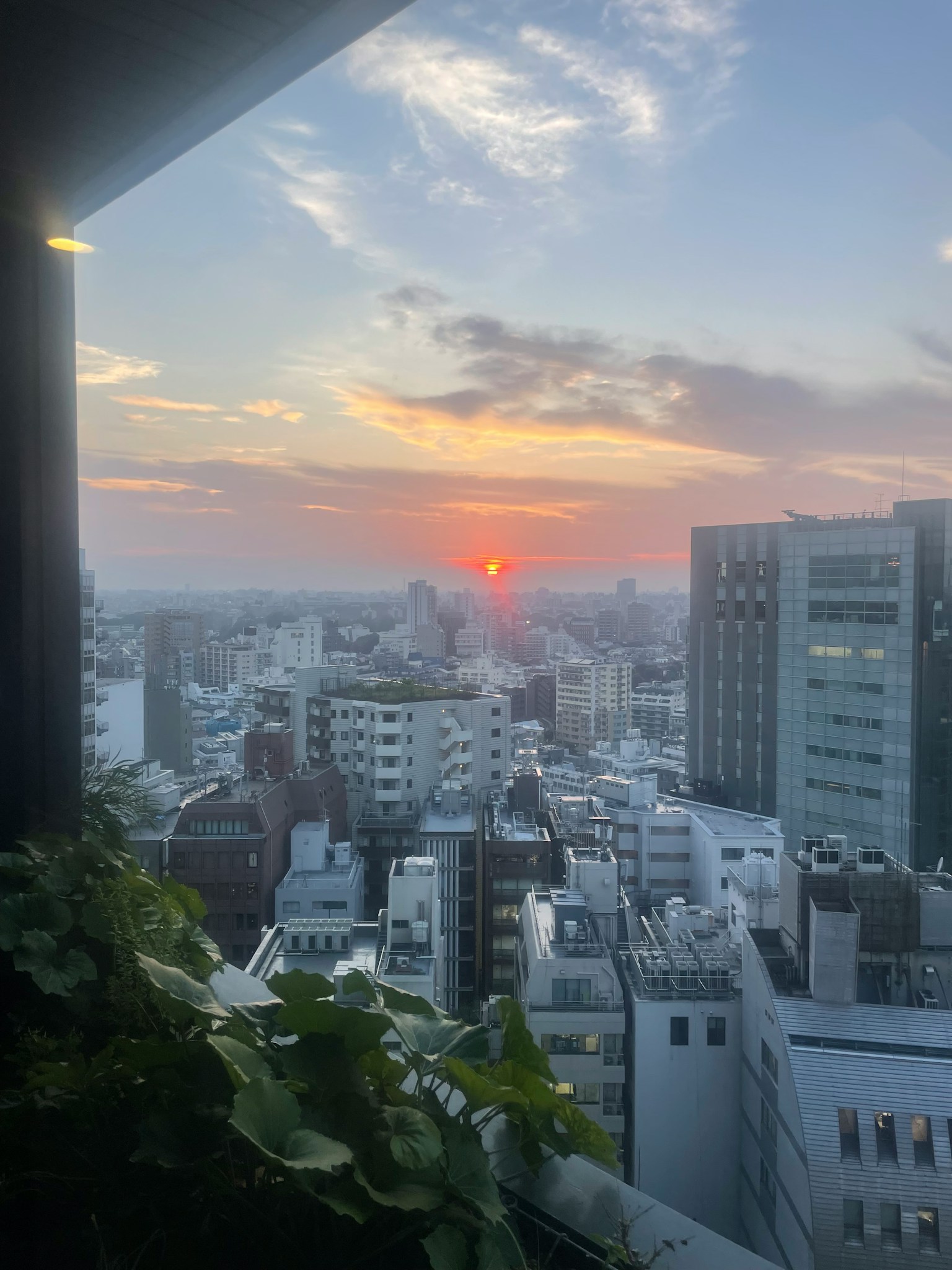夕日が沈む都市の景色 繁忙なビル群と雲が広がる空