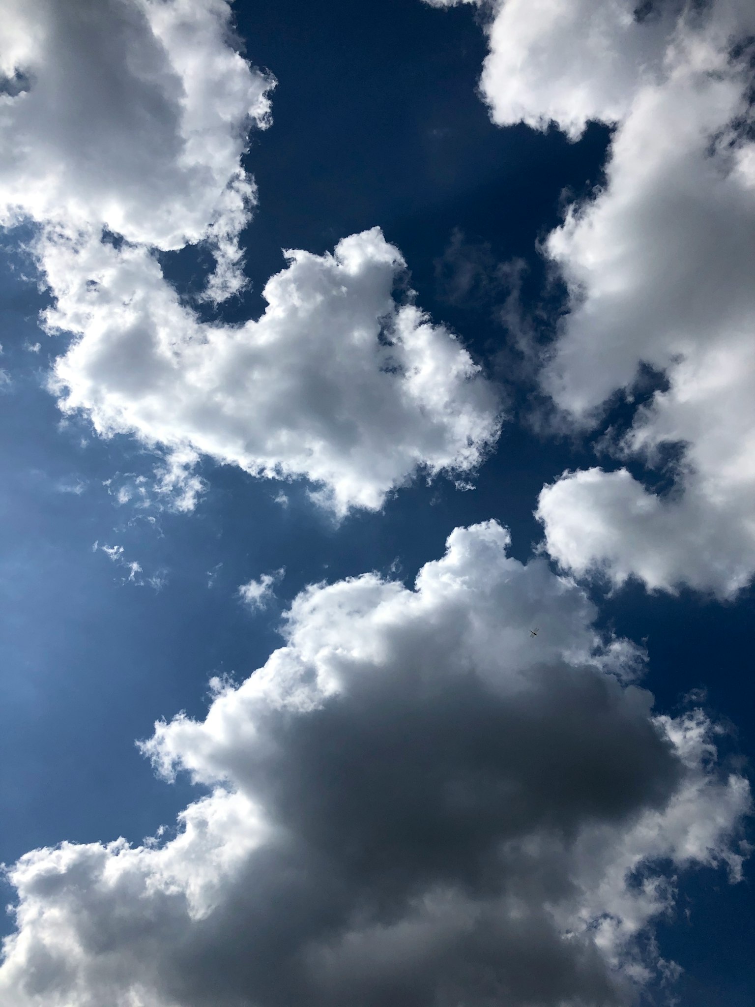 Eine Landschaft mit blauem Himmel und weißen Wolken