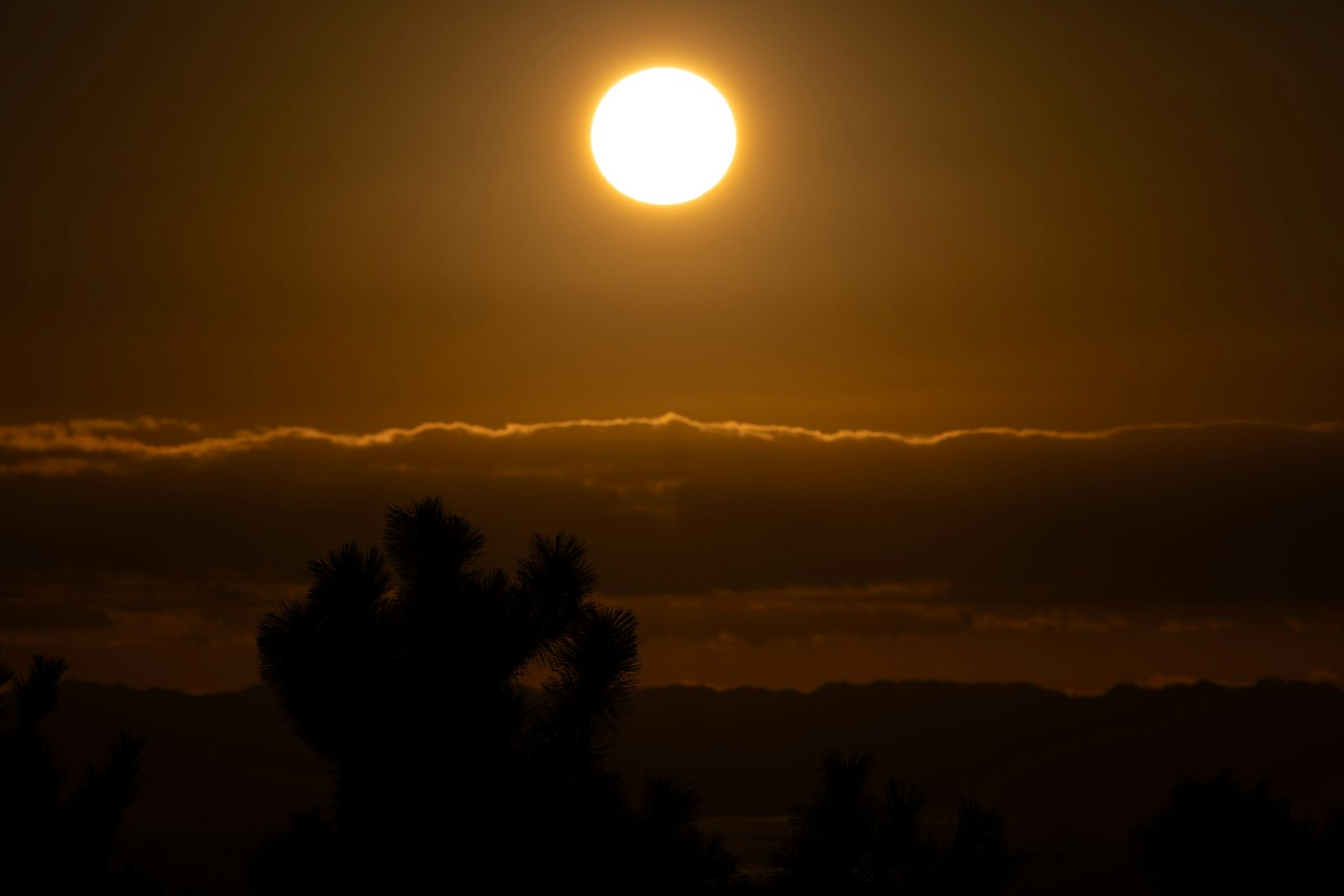 Sunset glowing above clouds with silhouetted trees