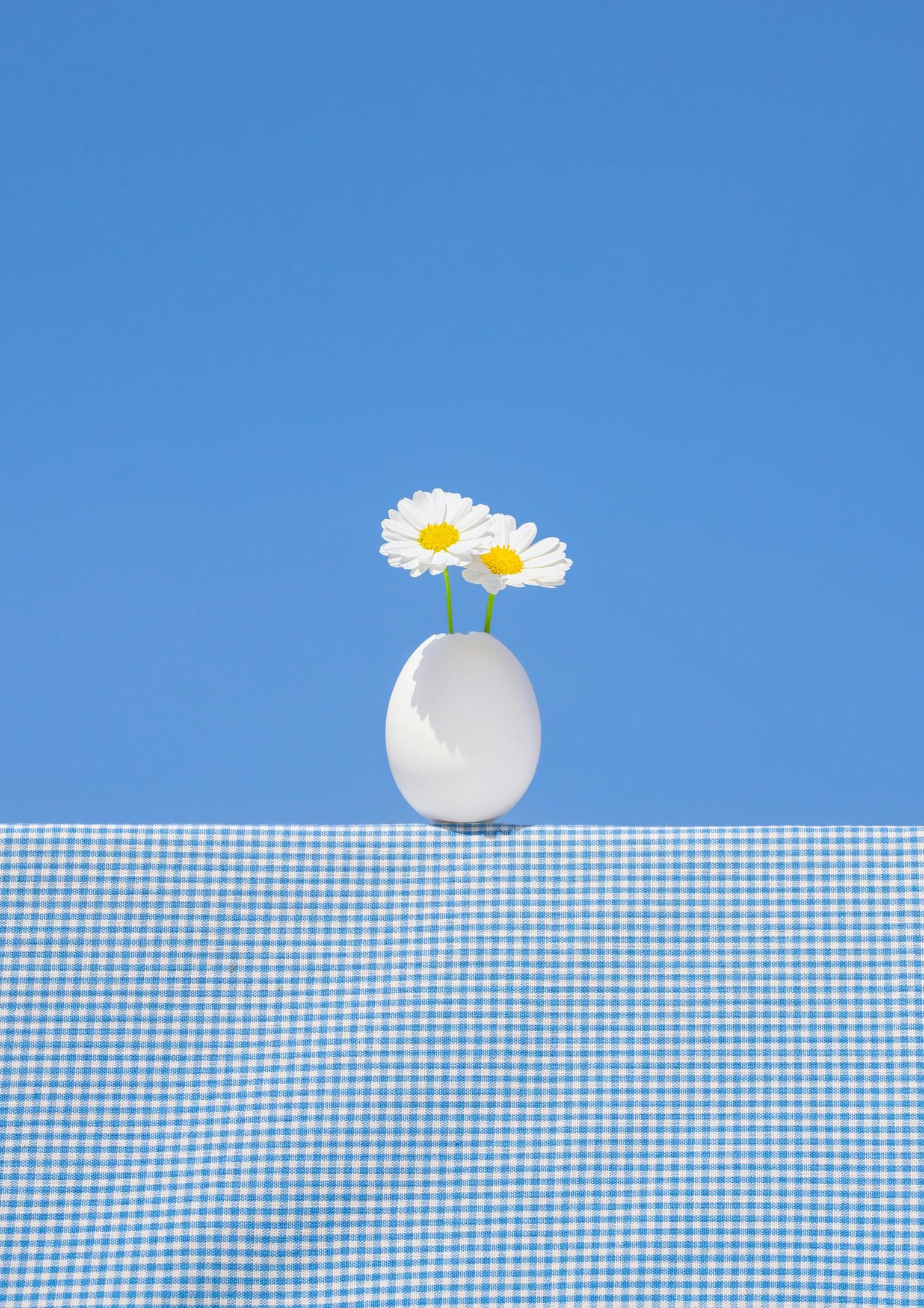 photo-m9ccXxmN0Du2Wtp3NCRH-image