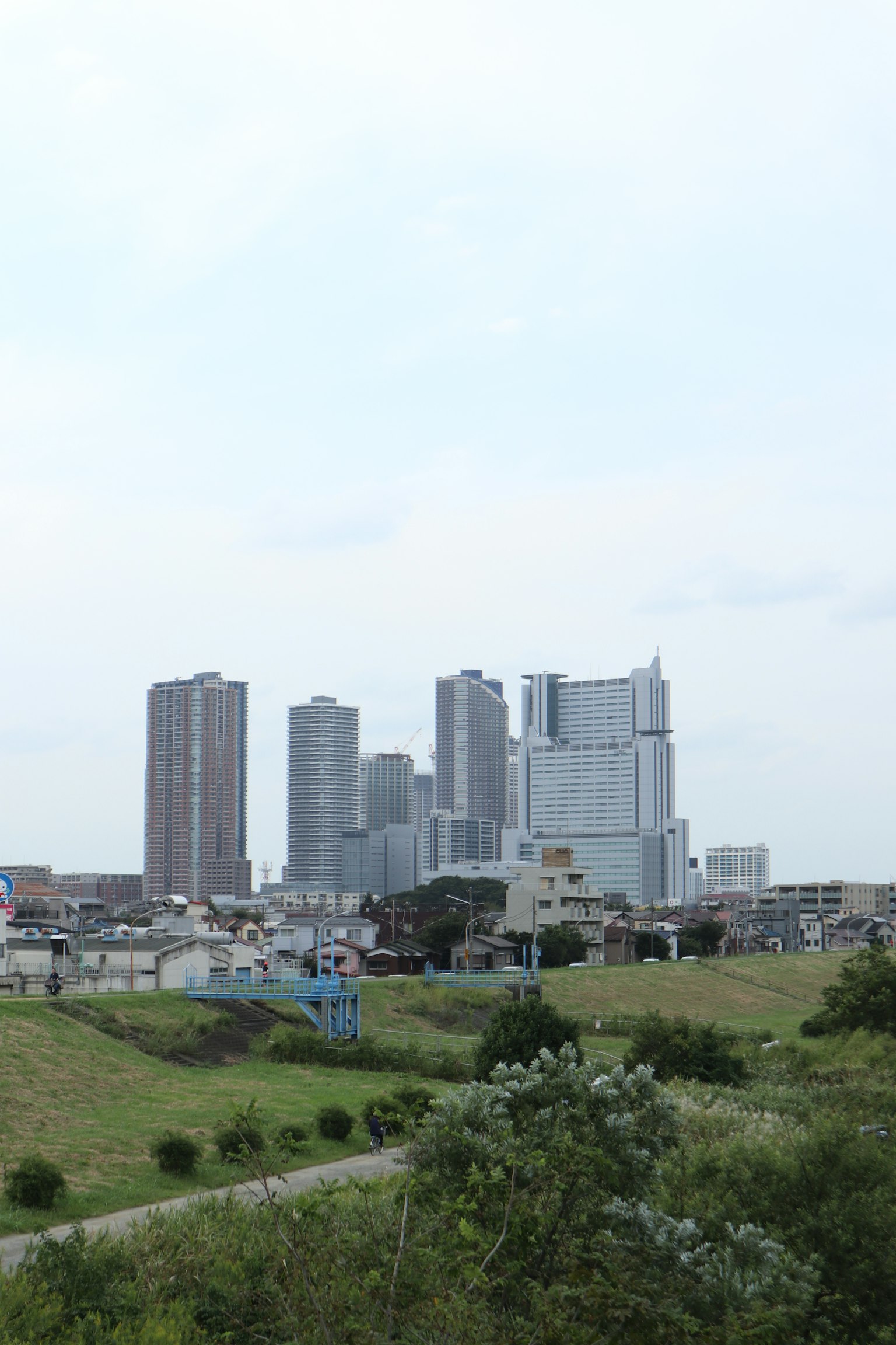 高層ビルが立ち並ぶ都市の風景と緑豊かな草地