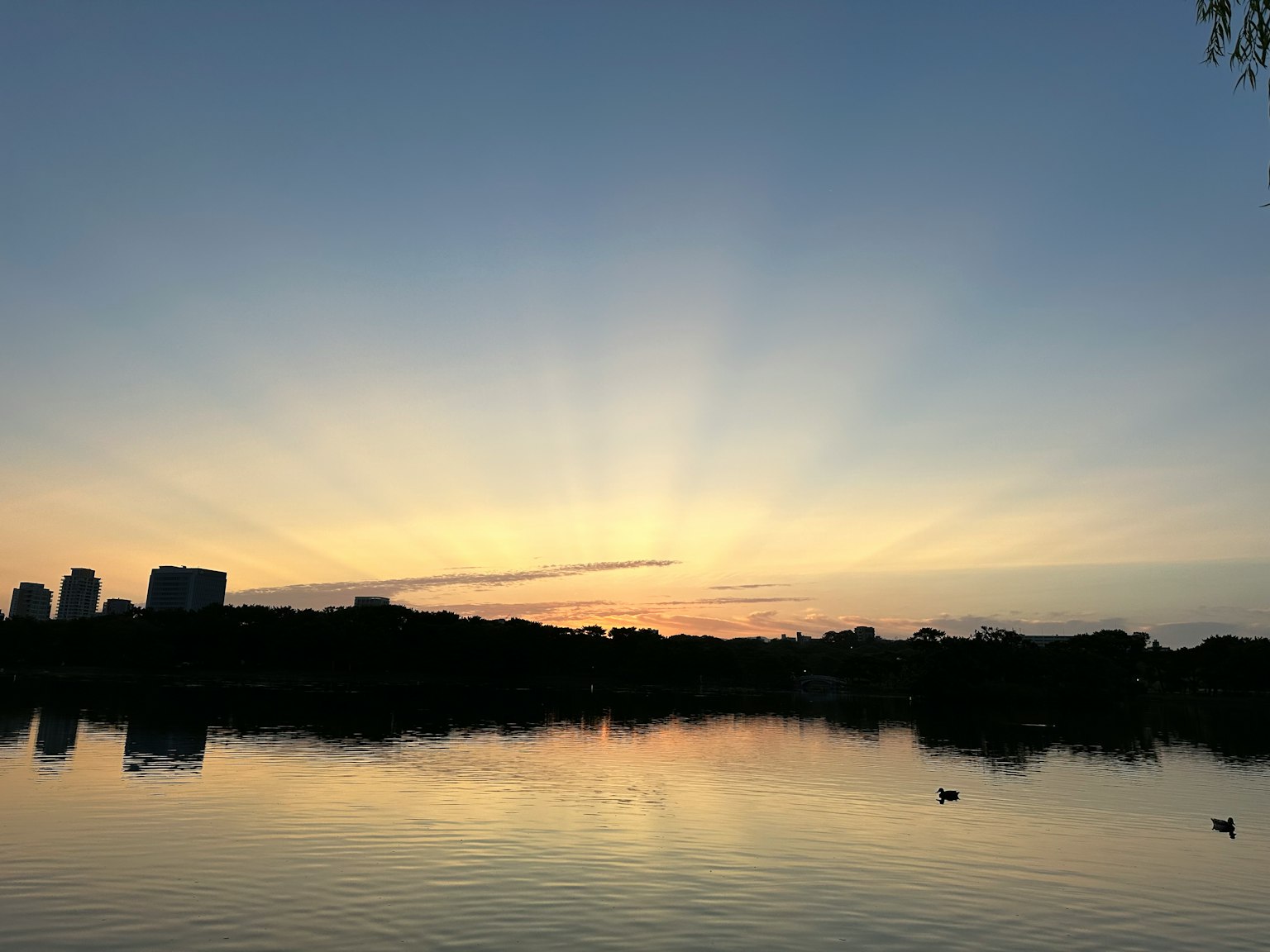 Beautiful sunset reflection over a lake with city skyline