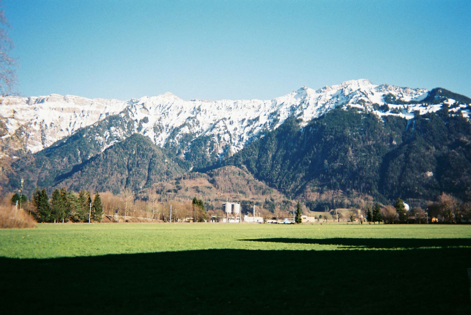 Montagne innevate con un prato verde in primo piano
