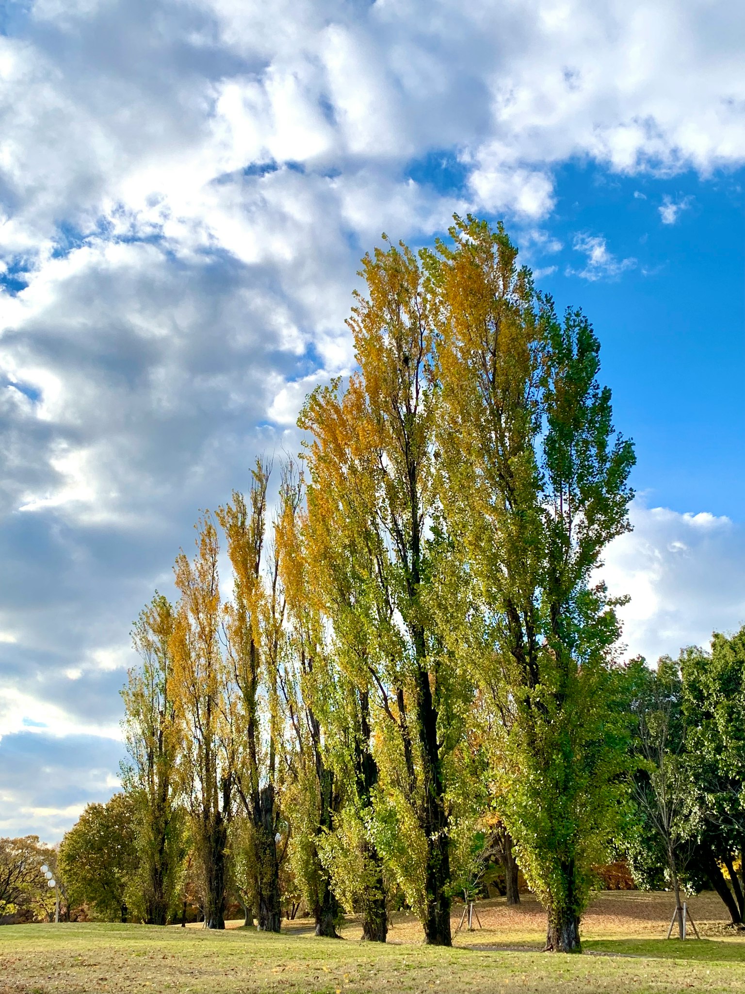 photo-mCGf1zMxMT2Gh1UsVkWZ-image