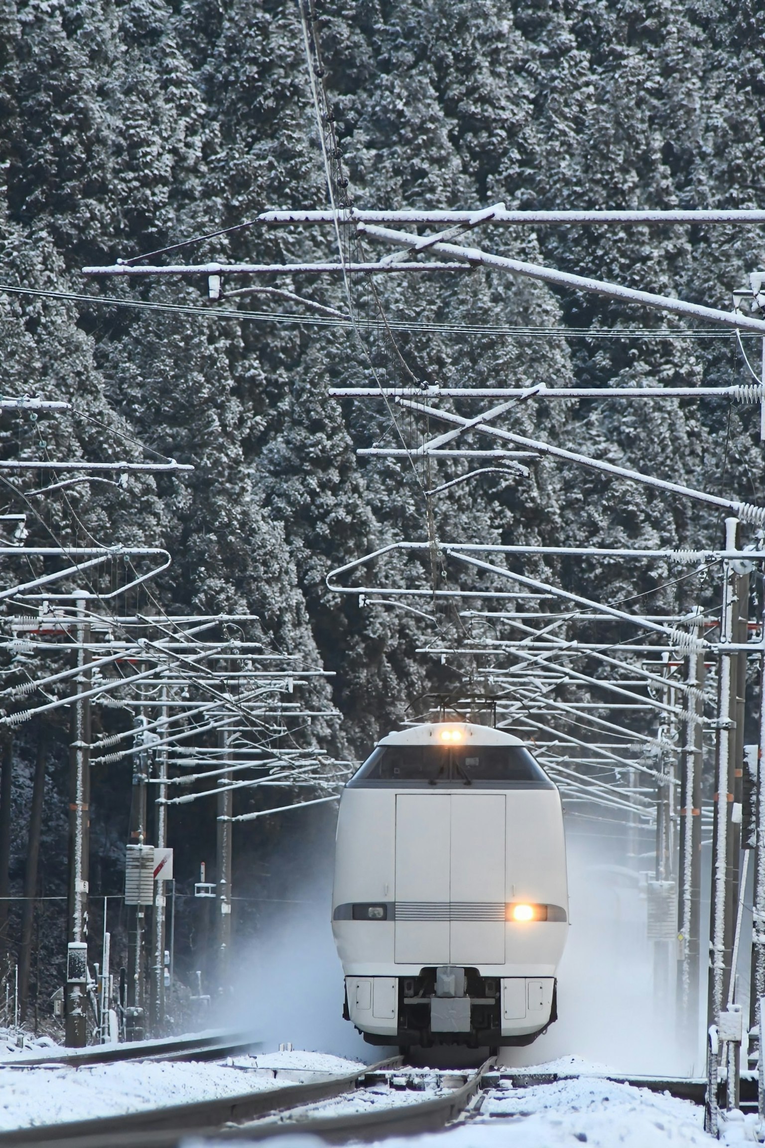 Treno bianco che attraversa una foresta innevata