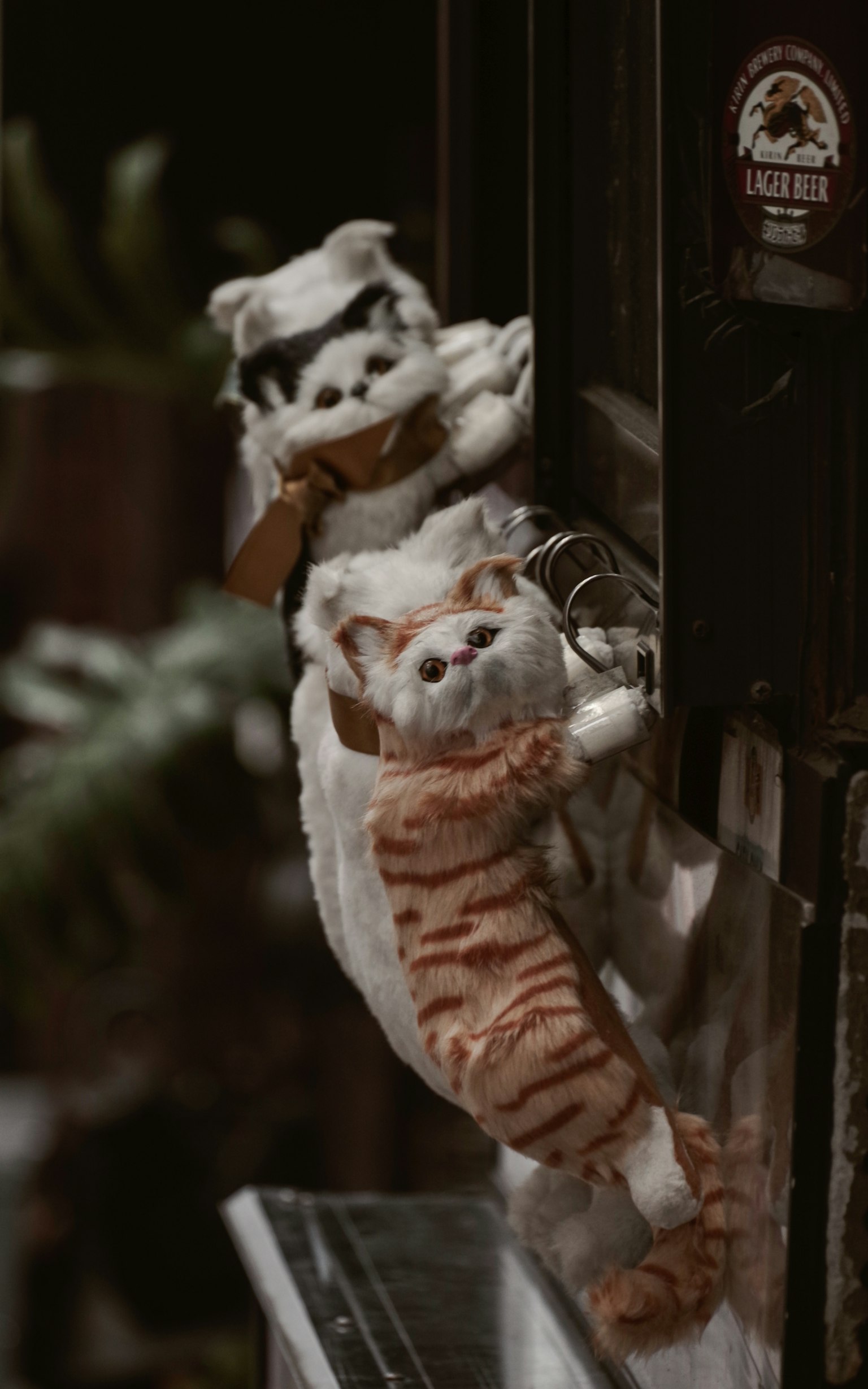 Giochi di peluche di un gatto e un cane appesi a un muro