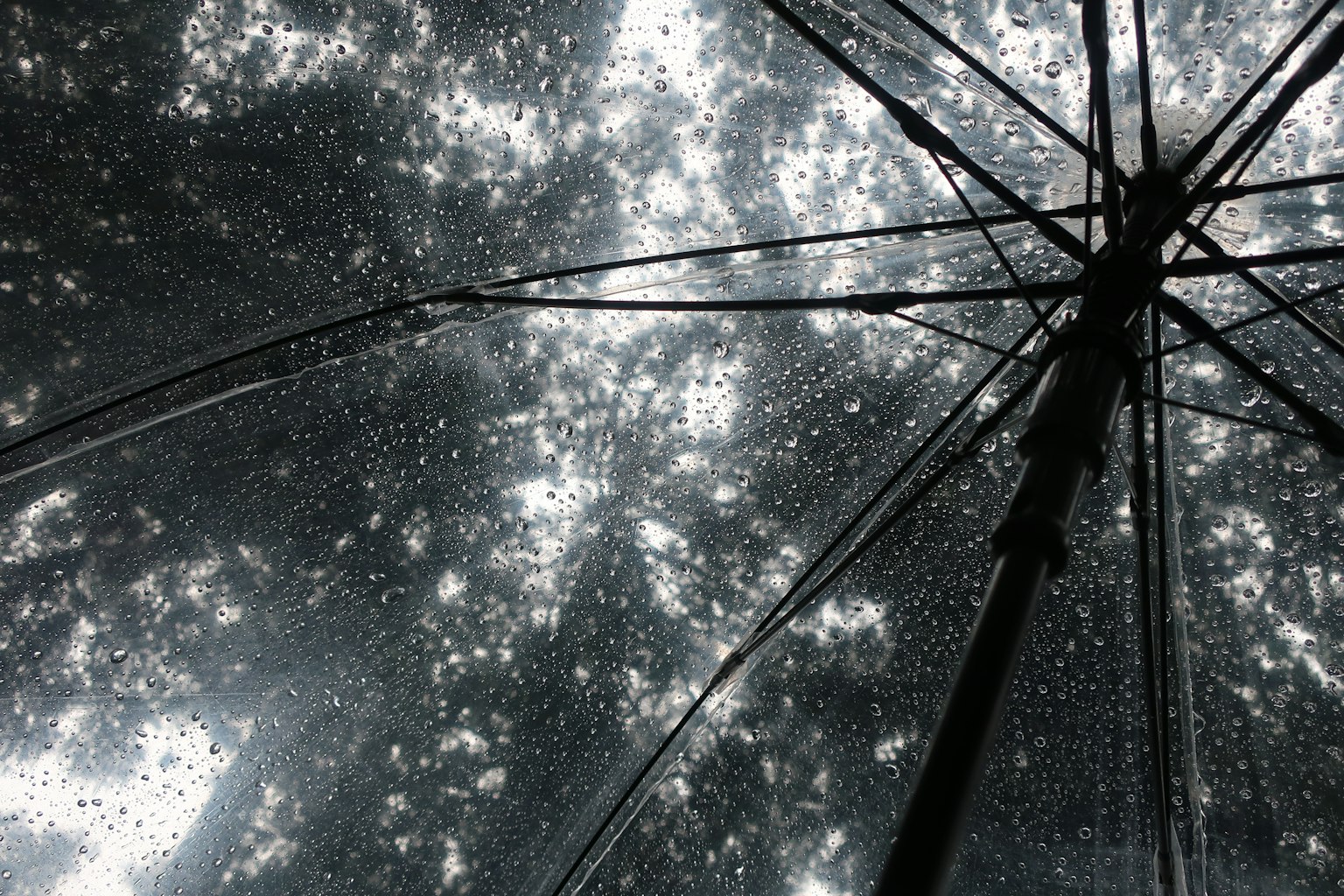 Vista da sotto un ombrello con gocce di pioggia che riflettono la luce