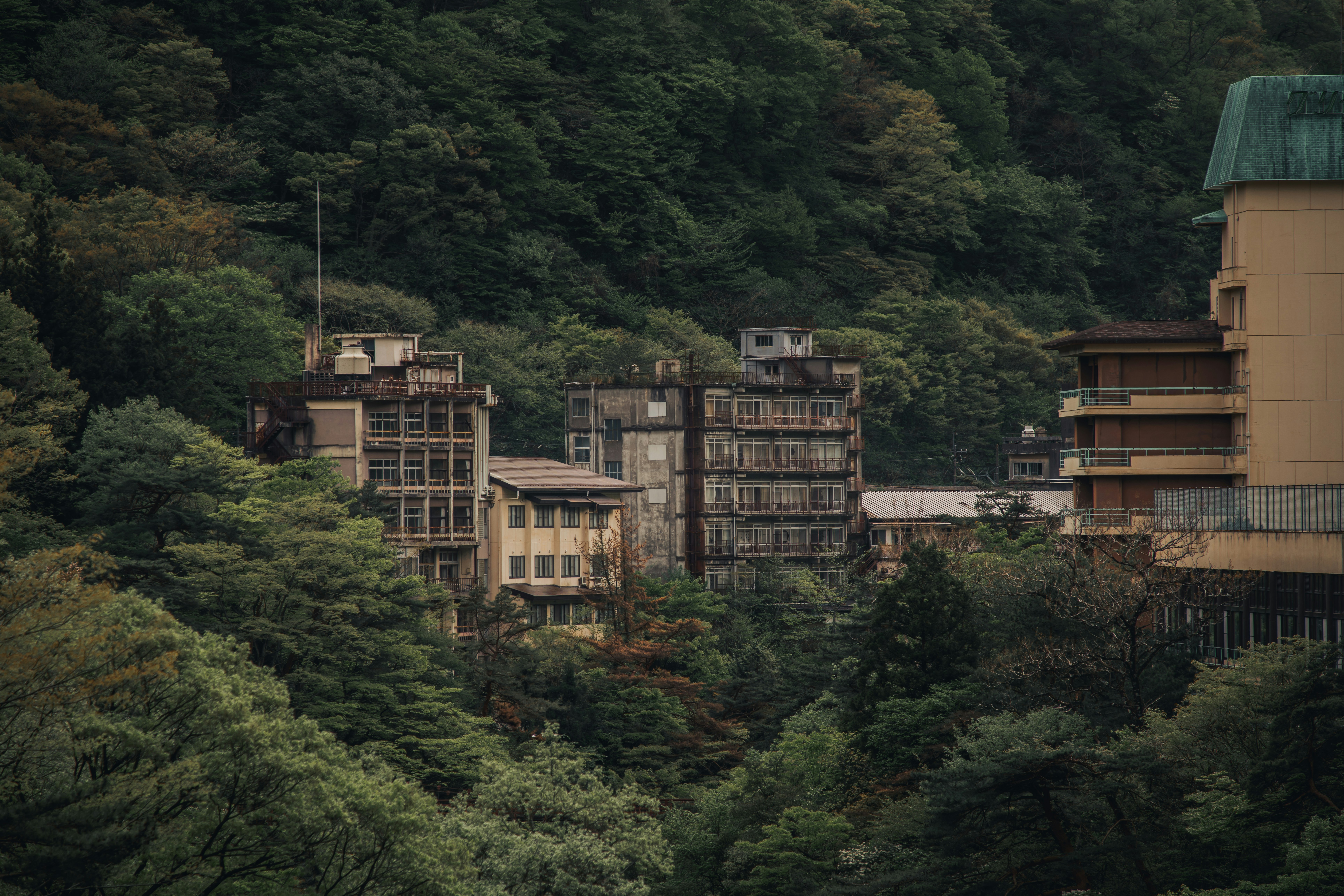森に囲まれた団地と建物群の風景