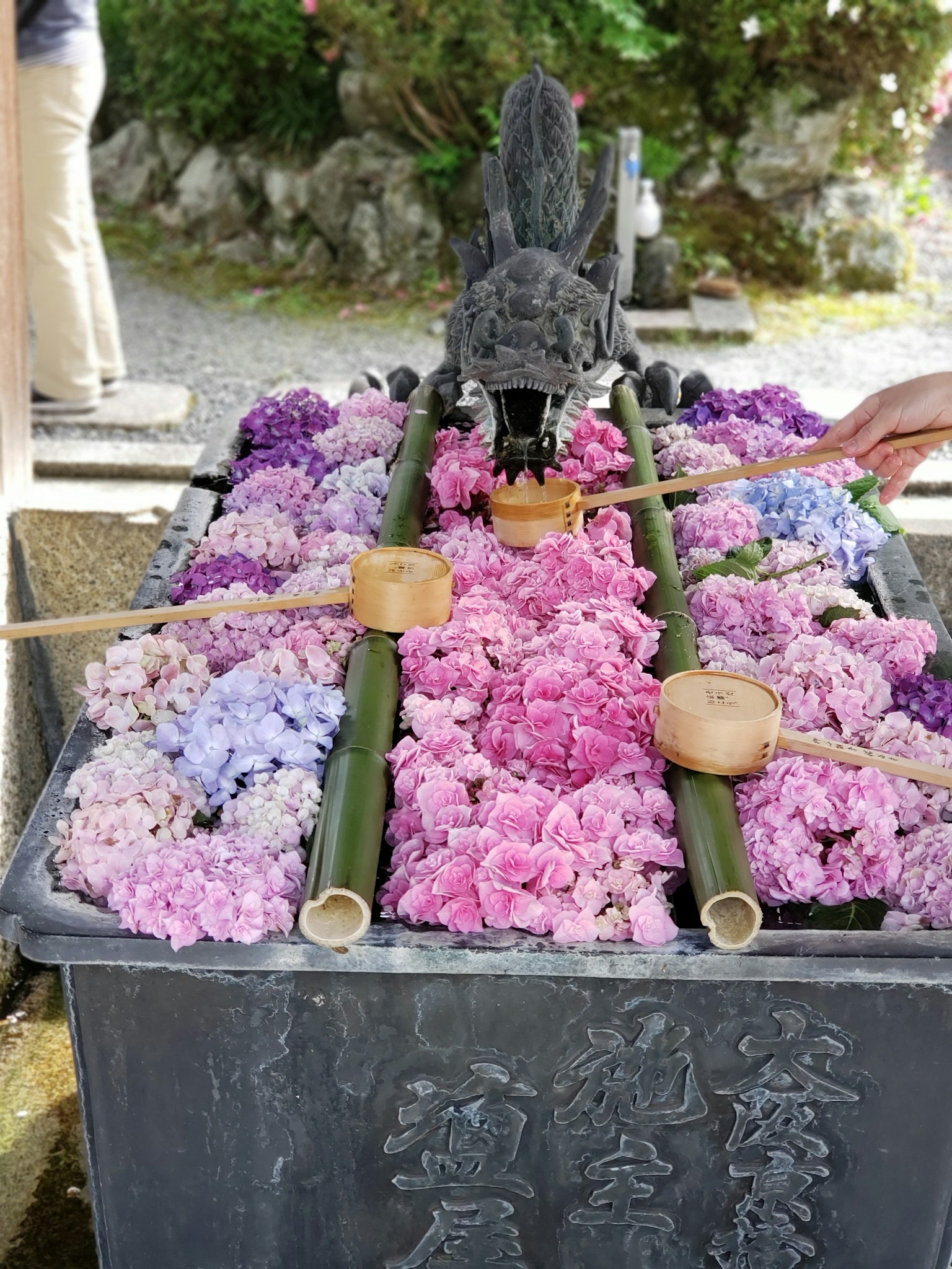 Paesaggio di una vasca d'acqua adornata con bambù e fiori