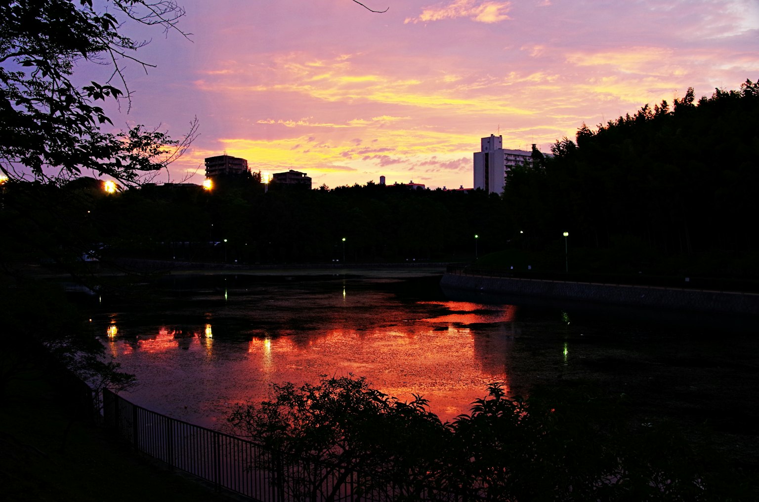 Paisaje del parque con colores del atardecer reflejados en el agua