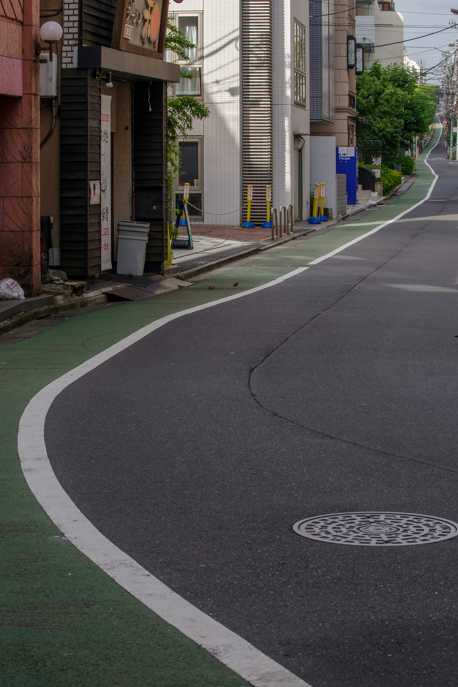 Vista de calle con una carretera curva y un carril bici verde
