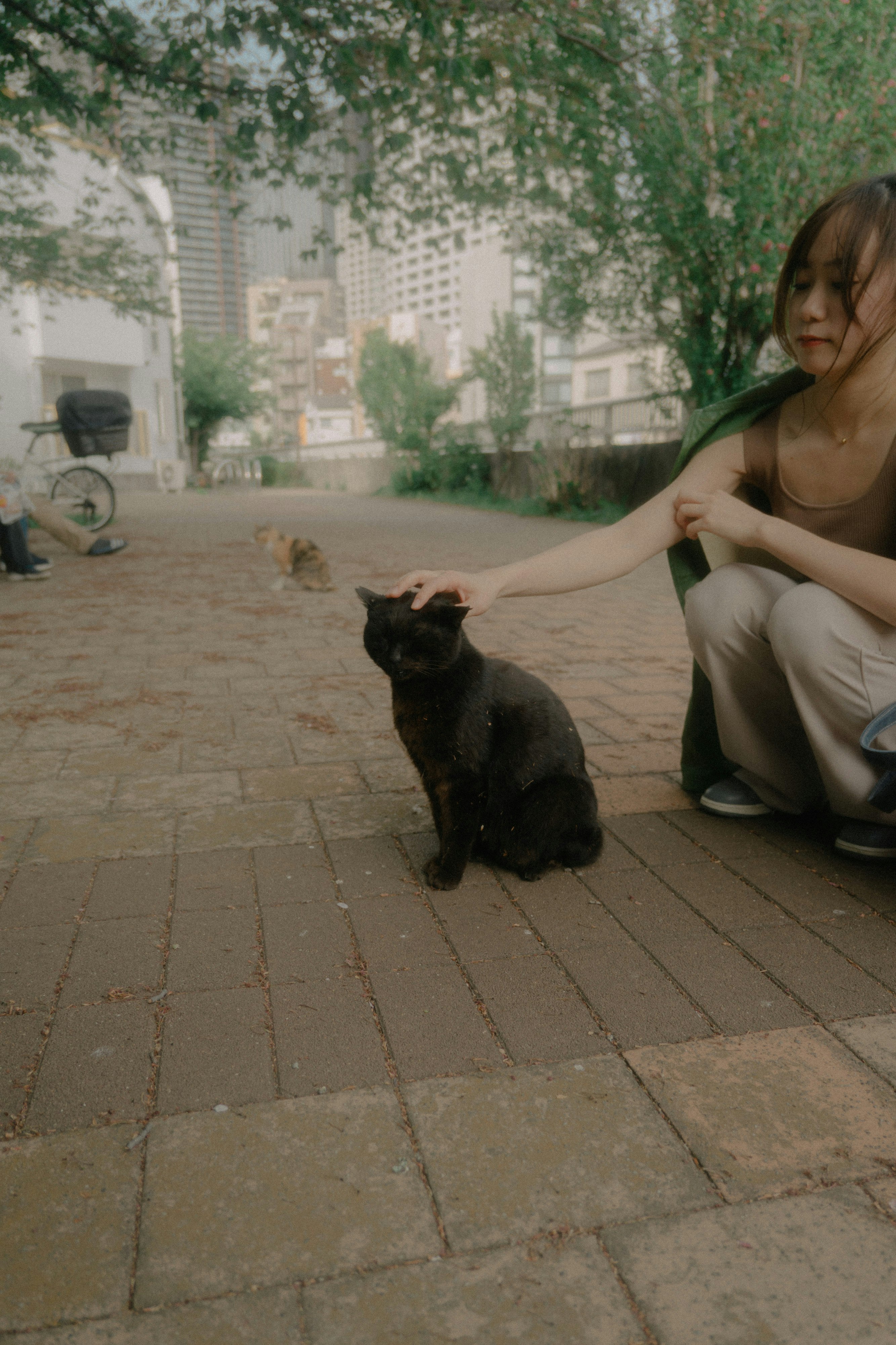 公园步道上与黑猫相伴的女性