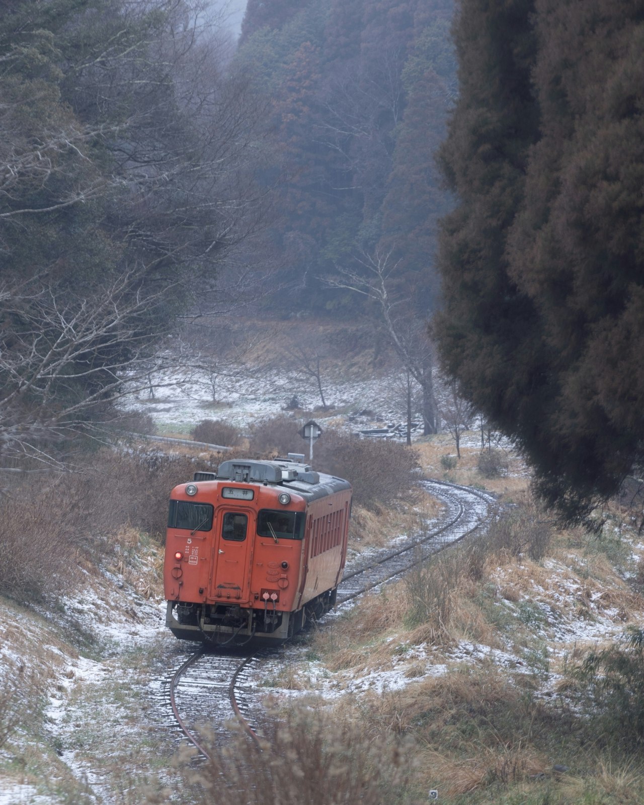 雪の山道を走る赤いディーゼル列車