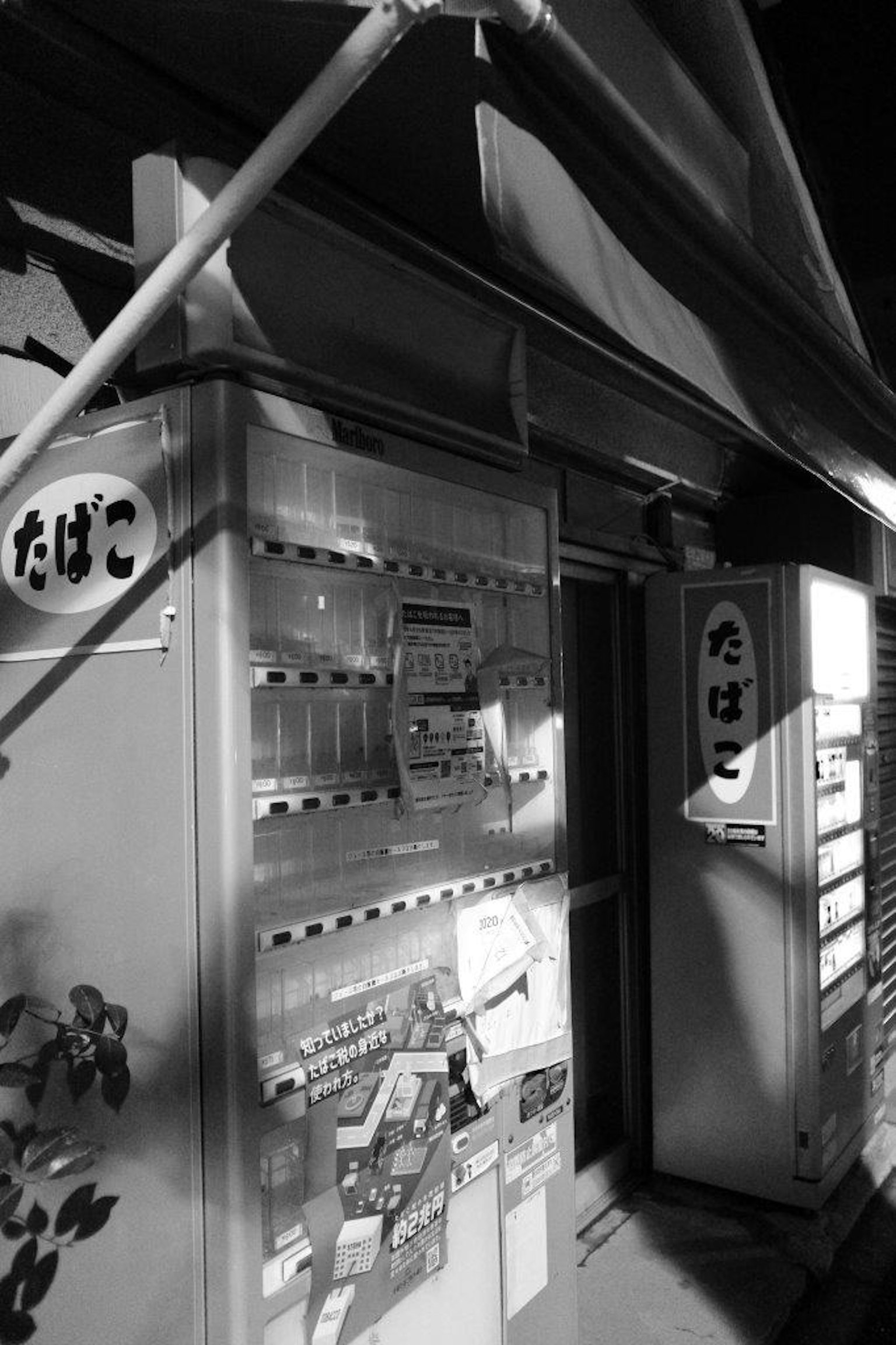 Esterno di un distributore automatico di notte Immagine in bianco e nero che mostra un distributore di sigarette