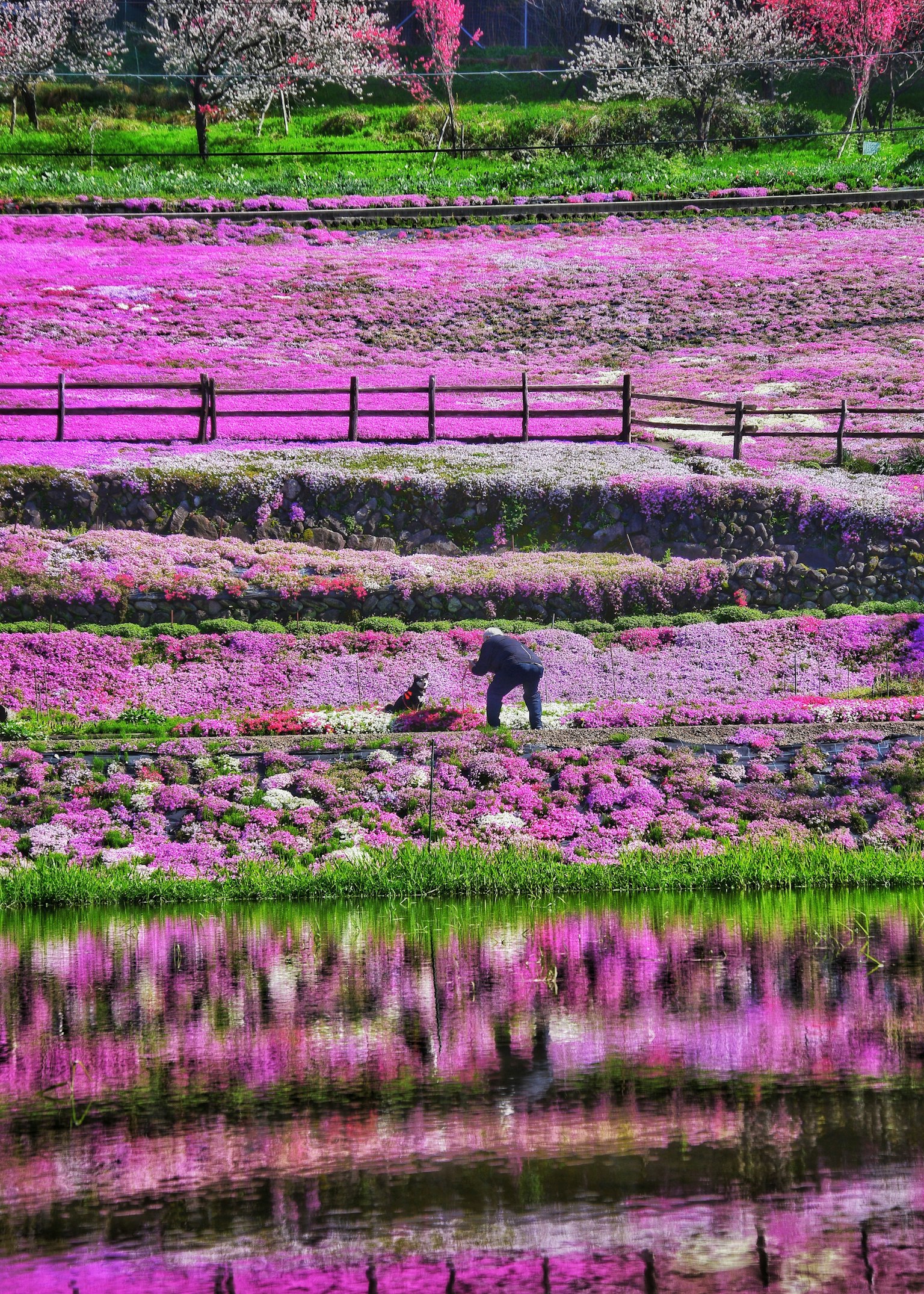photo-mFDBkcgOPKN1u9ghnyK3-image