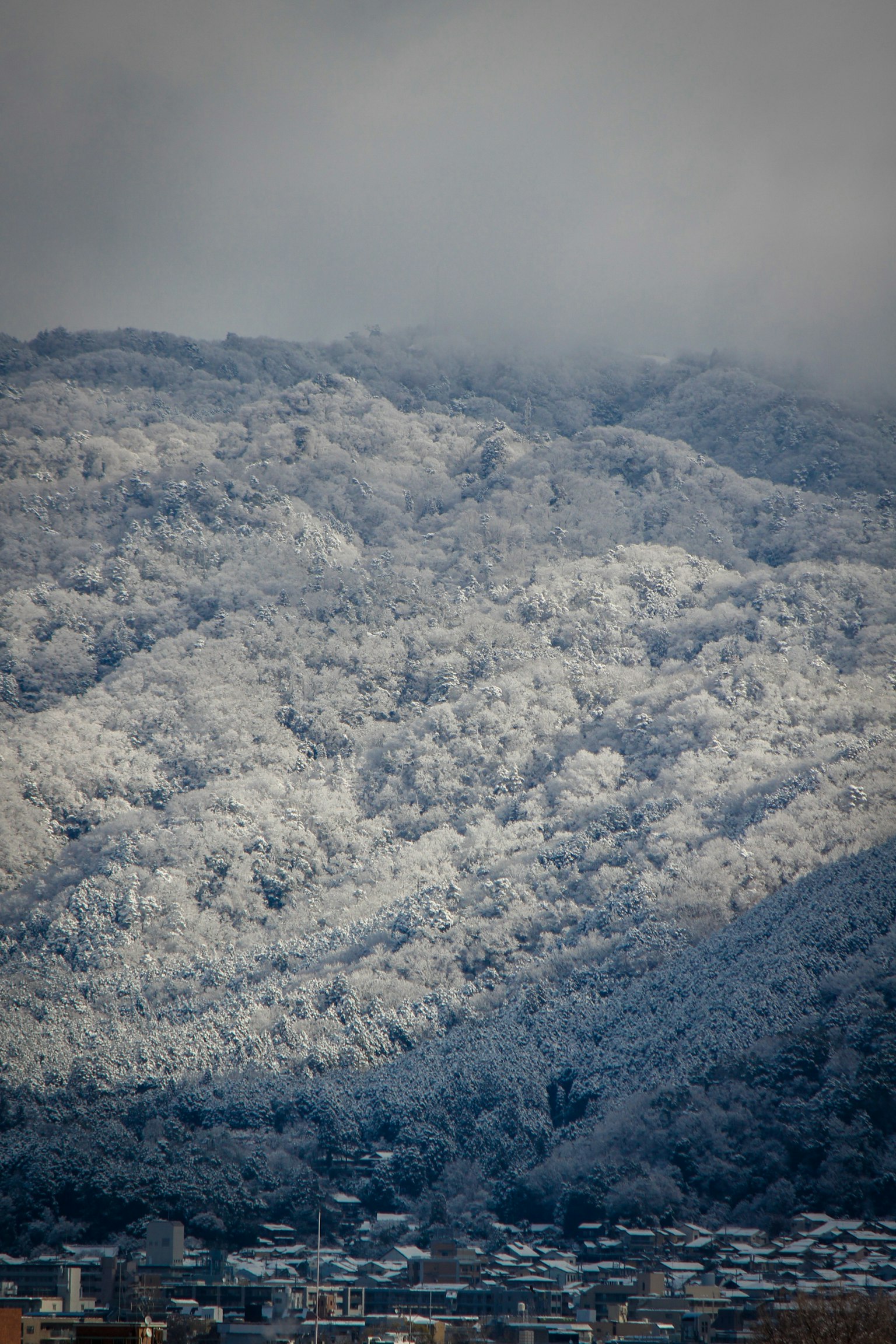 被雪覆盖的山脉和雾气笼罩的氛围