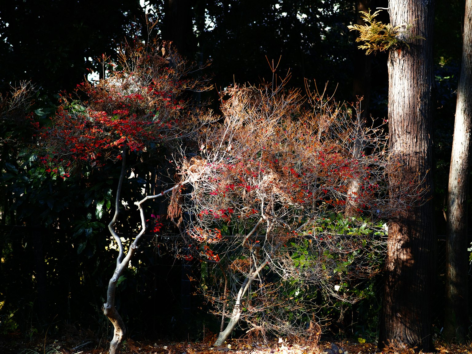 photo-mFmpHRkf1CLAHGlnpV3w-image