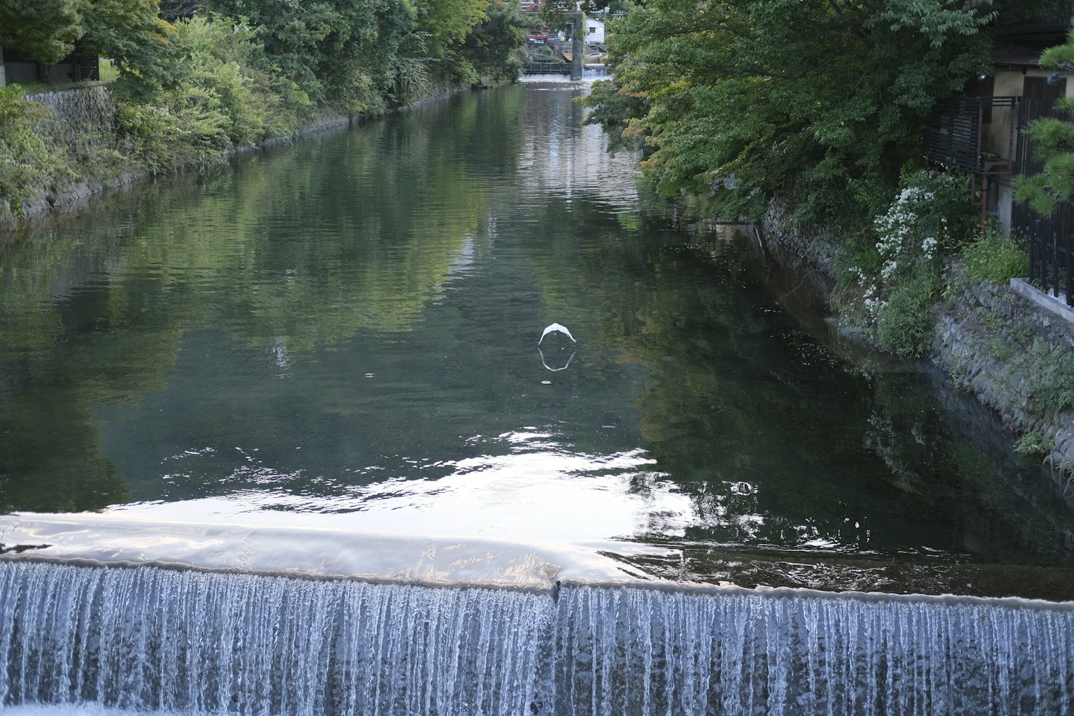 Ruhige Flusslandschaft mit schwebenden Blasen auf dem Wasser und einem Wasserfall