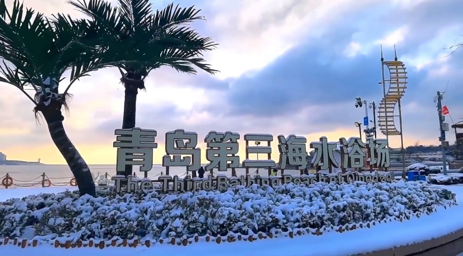 青岛的冬季景观与雪覆盖的植物和标志