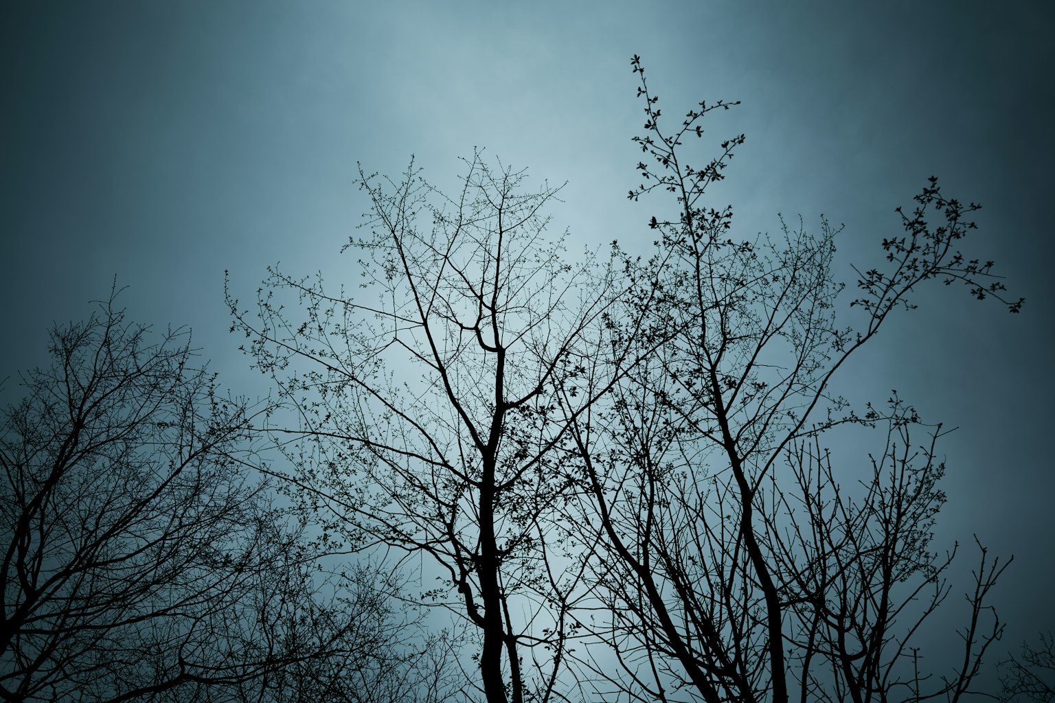 photo-mGLyEQgqulYw4dGTy3zM-image