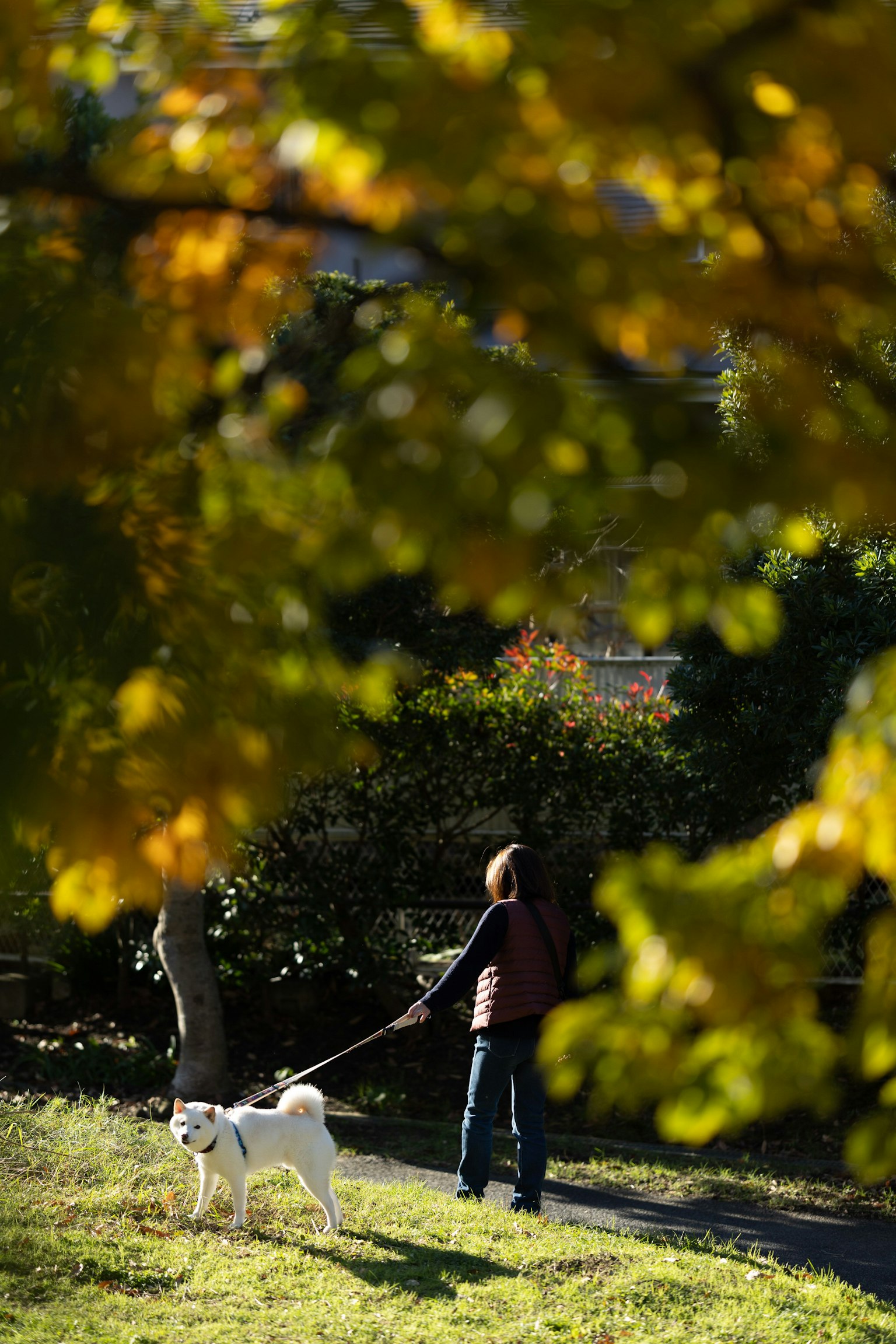 photo-mHEusd1nPqPiqOEJA4WN-image