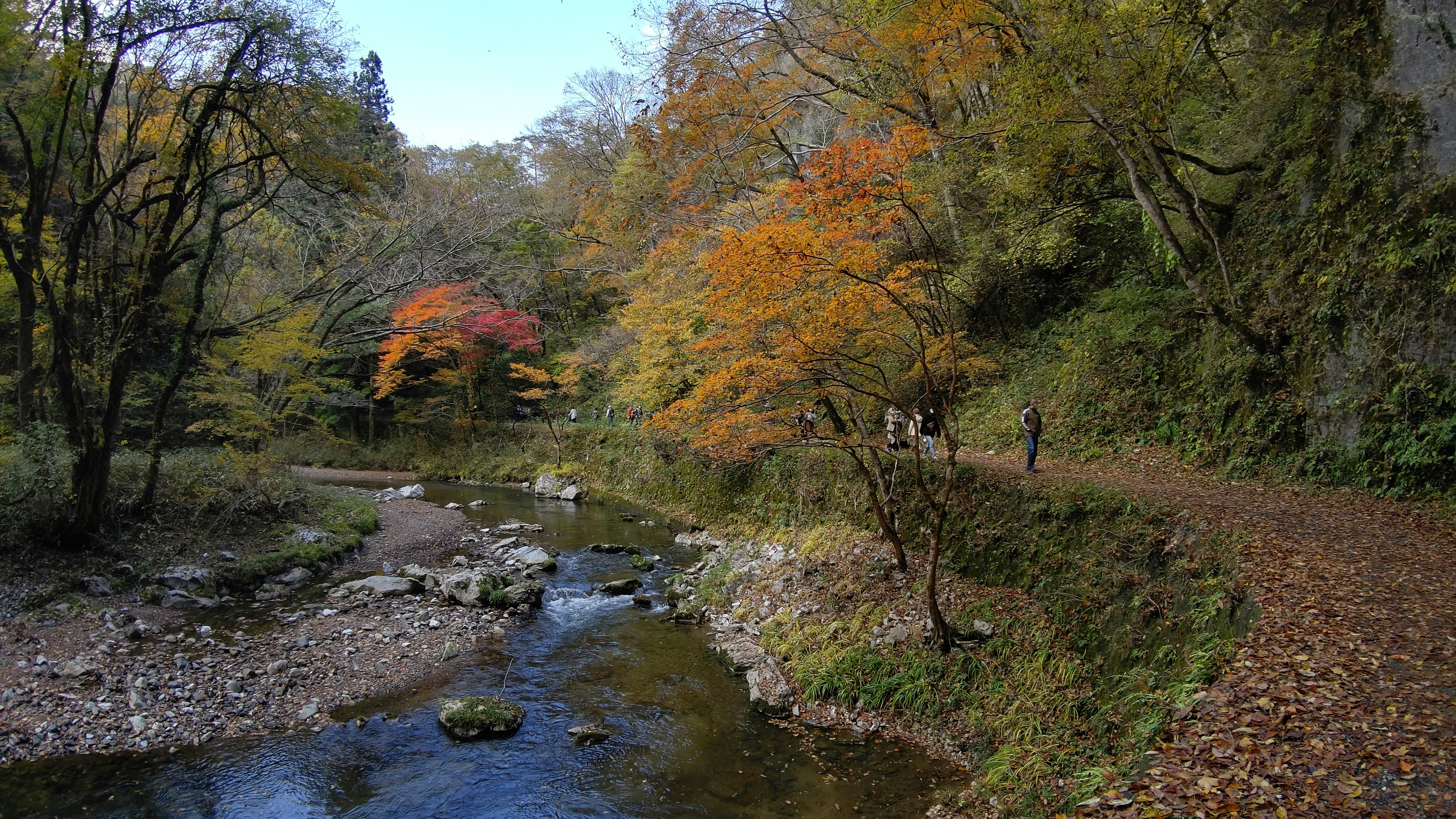 autumn foliage along a river in a valley landscape