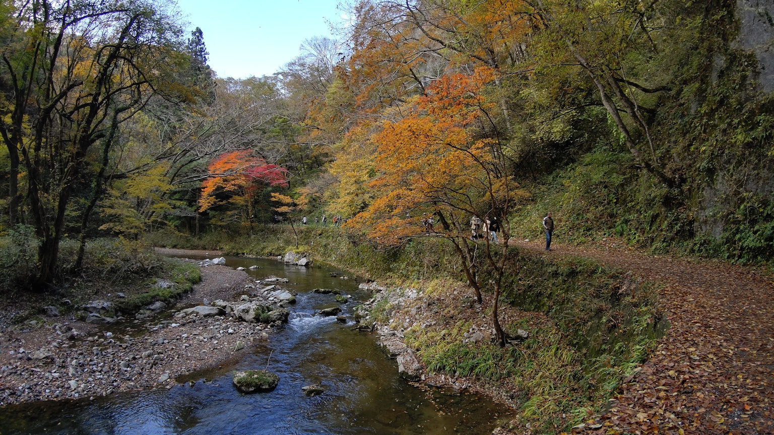 Beautiful autumn landscape with colorful trees and a serene river flow