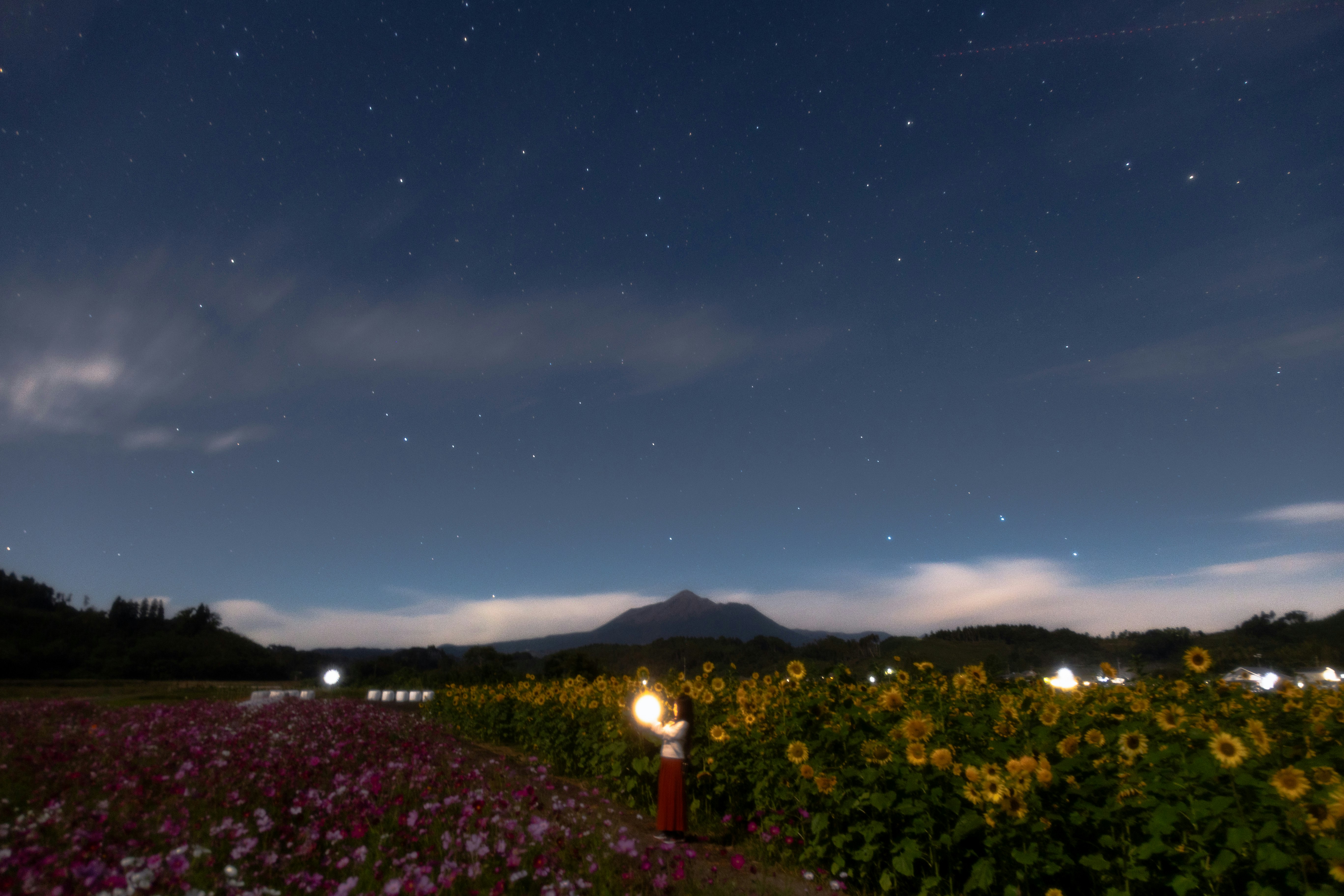 夜の花畑と星空、遠くに山並みが見える