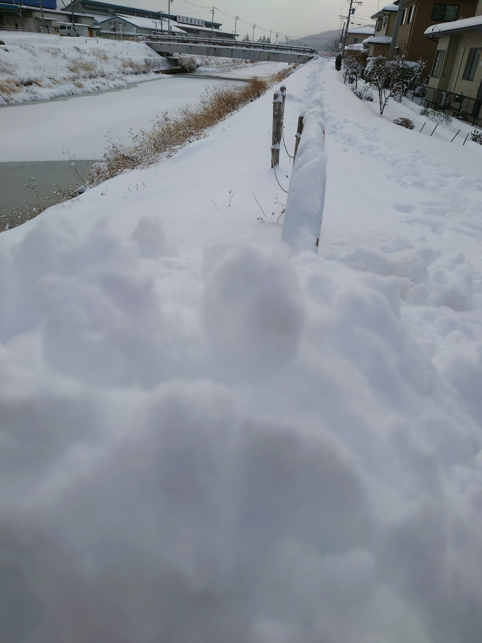 被雪覆盖的河岸及周围风景