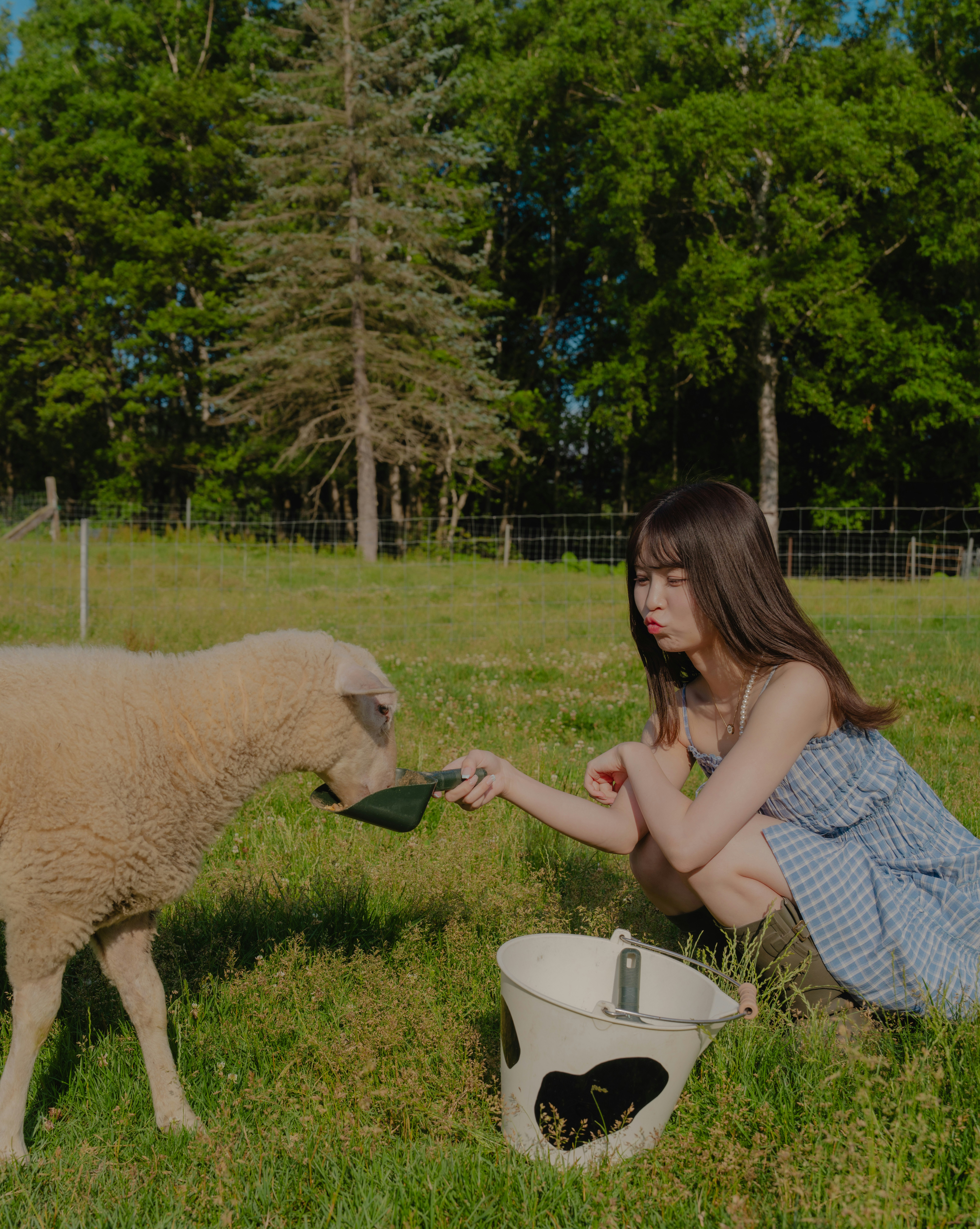 A girl feeding a lamb in a grassy field