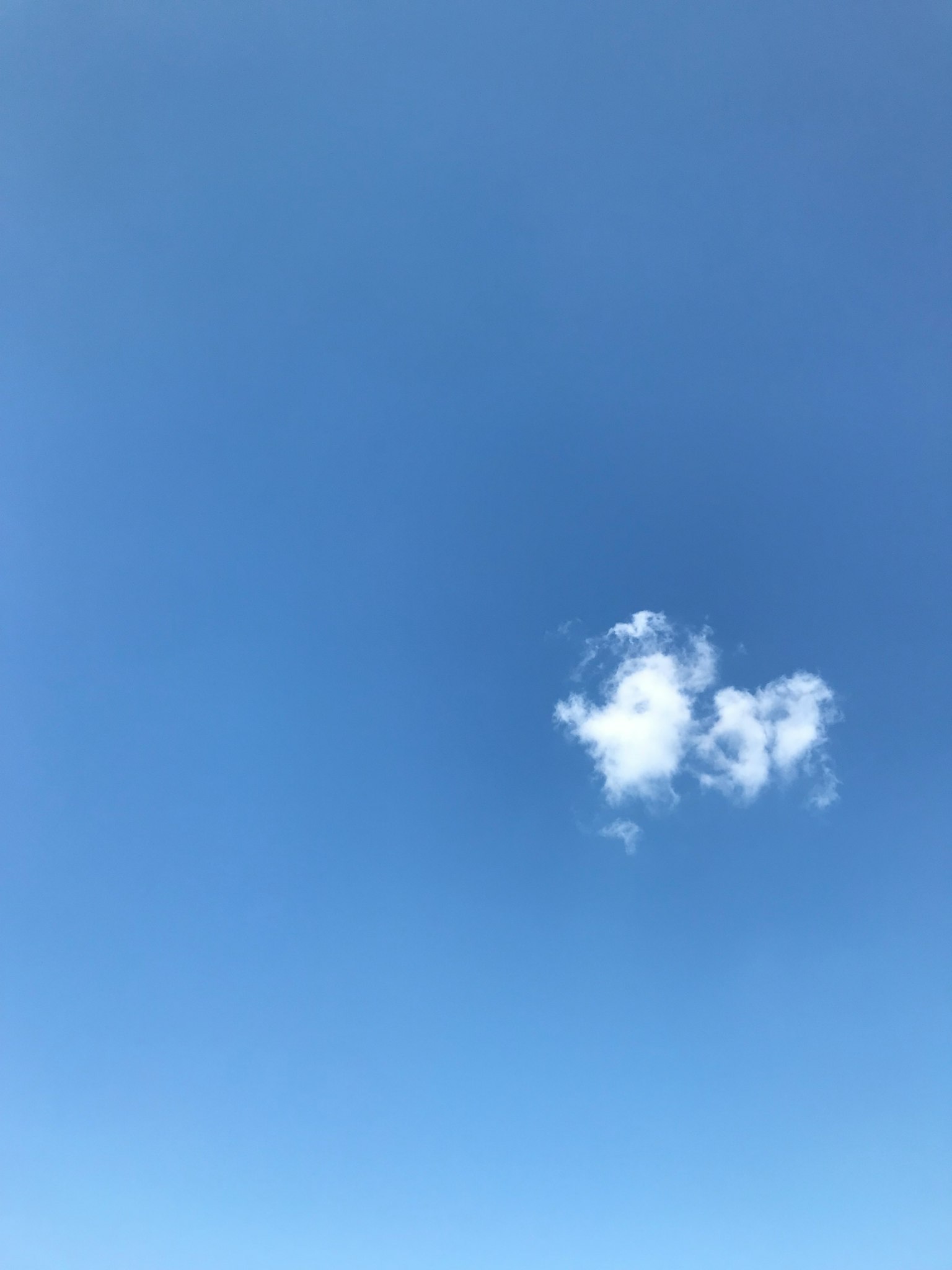 一朵小白云漂浮在晴朗的蓝天上