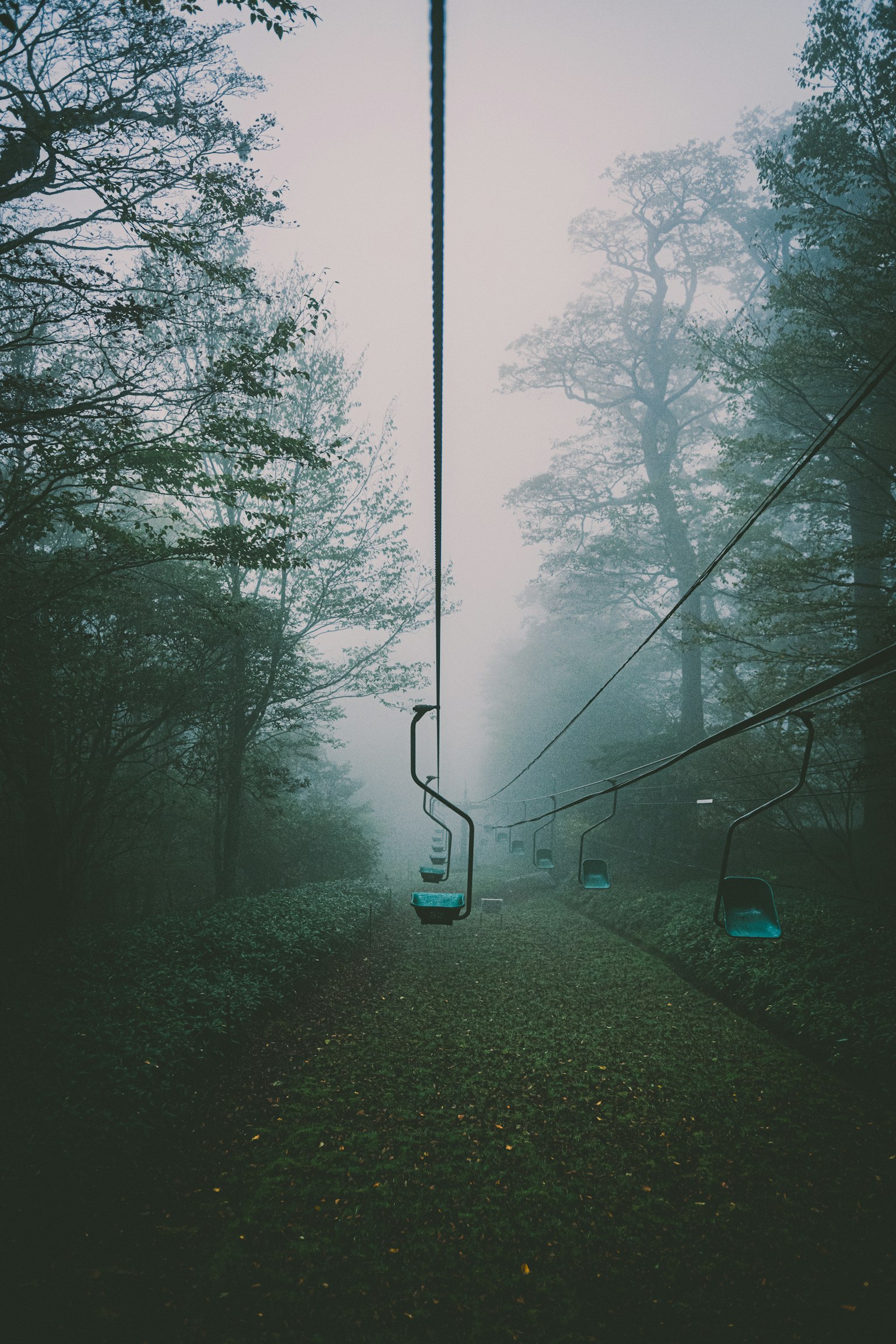 霧の中のリフトと木々の風景
